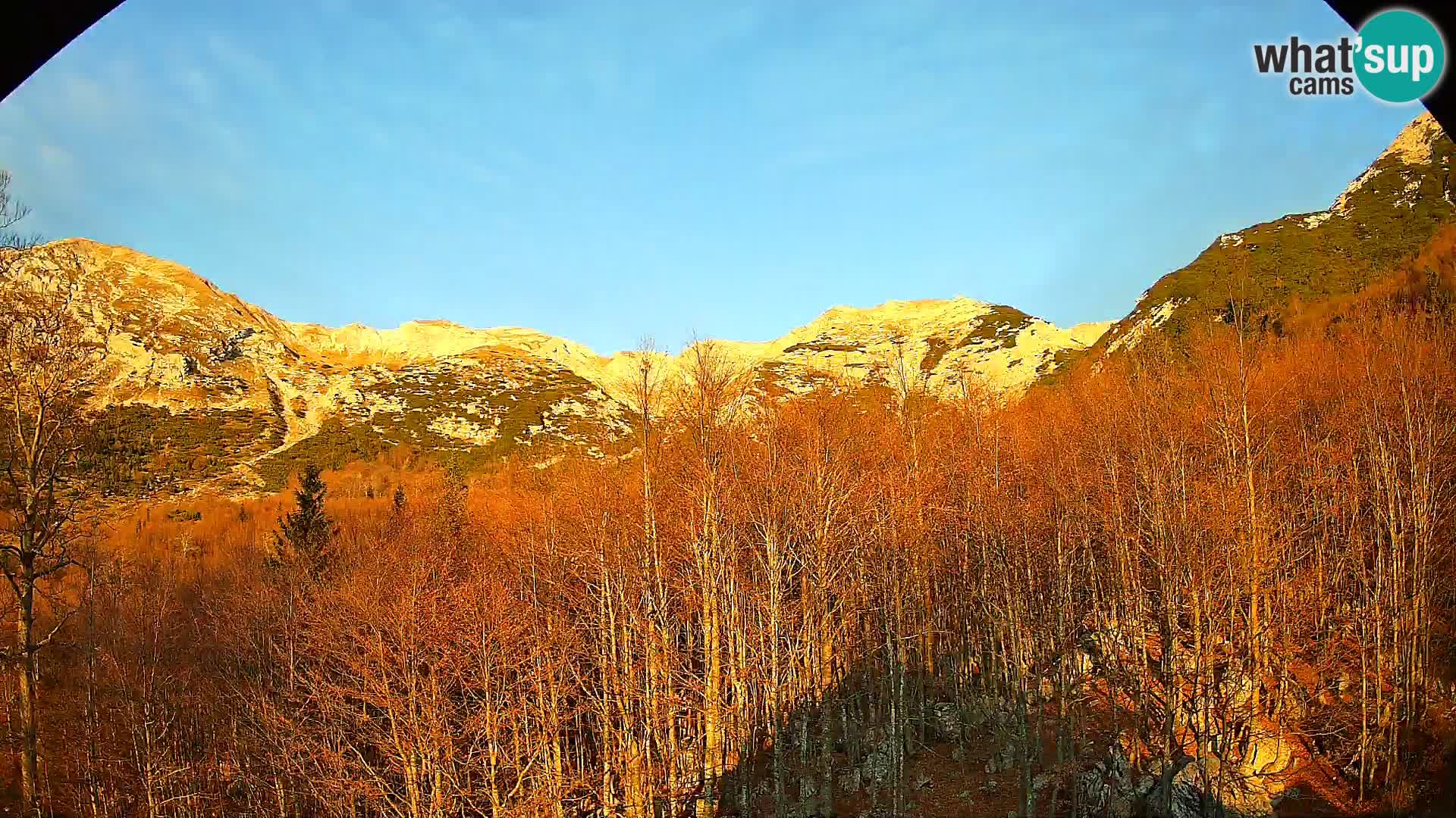 Webcam PLANINA RAZOR (1315) | Blick auf Vogel und Globoko