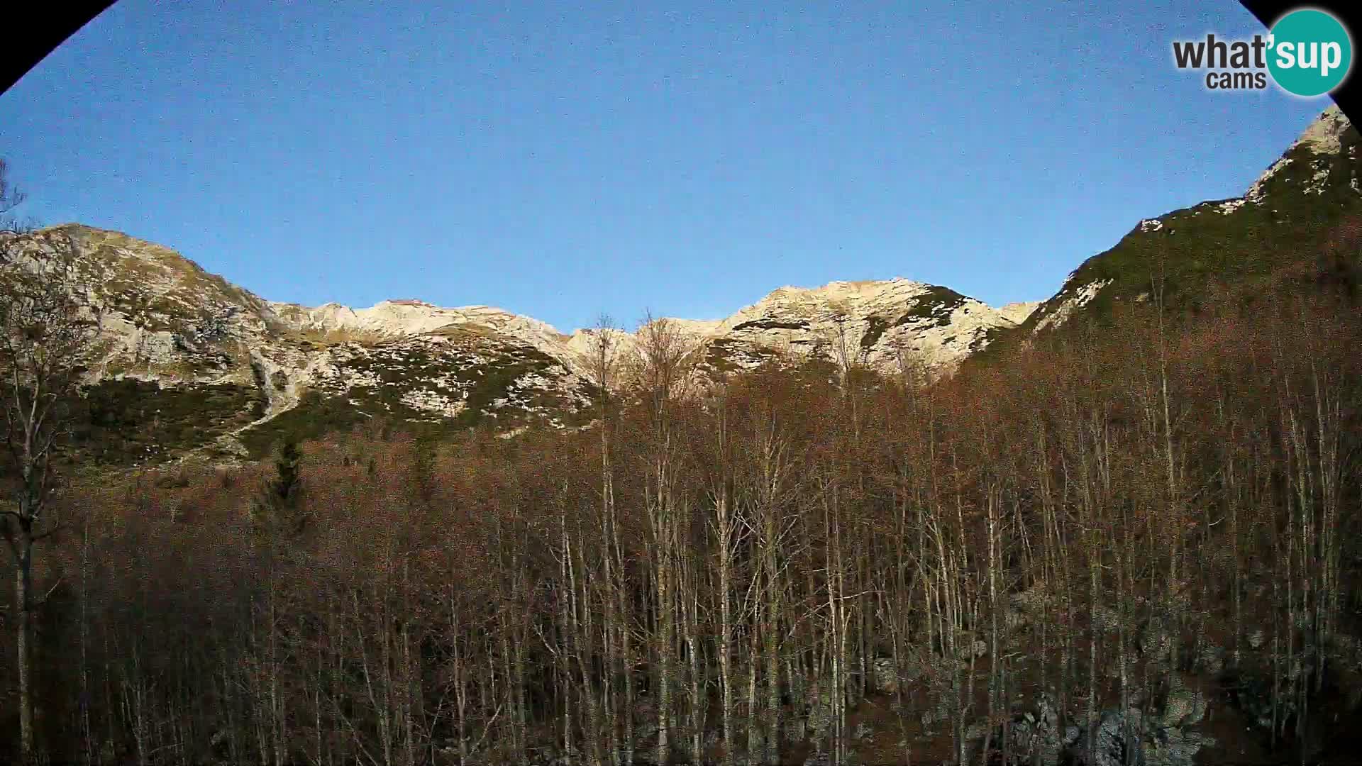 PLANINA RAZOR Live Cam (1315) | vista su Vogel e Globoko