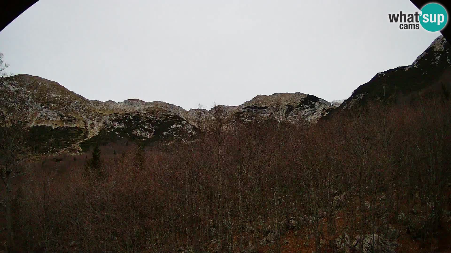 Webcam PLANINA RAZOR (1315) | Blick auf Vogel und Globoko