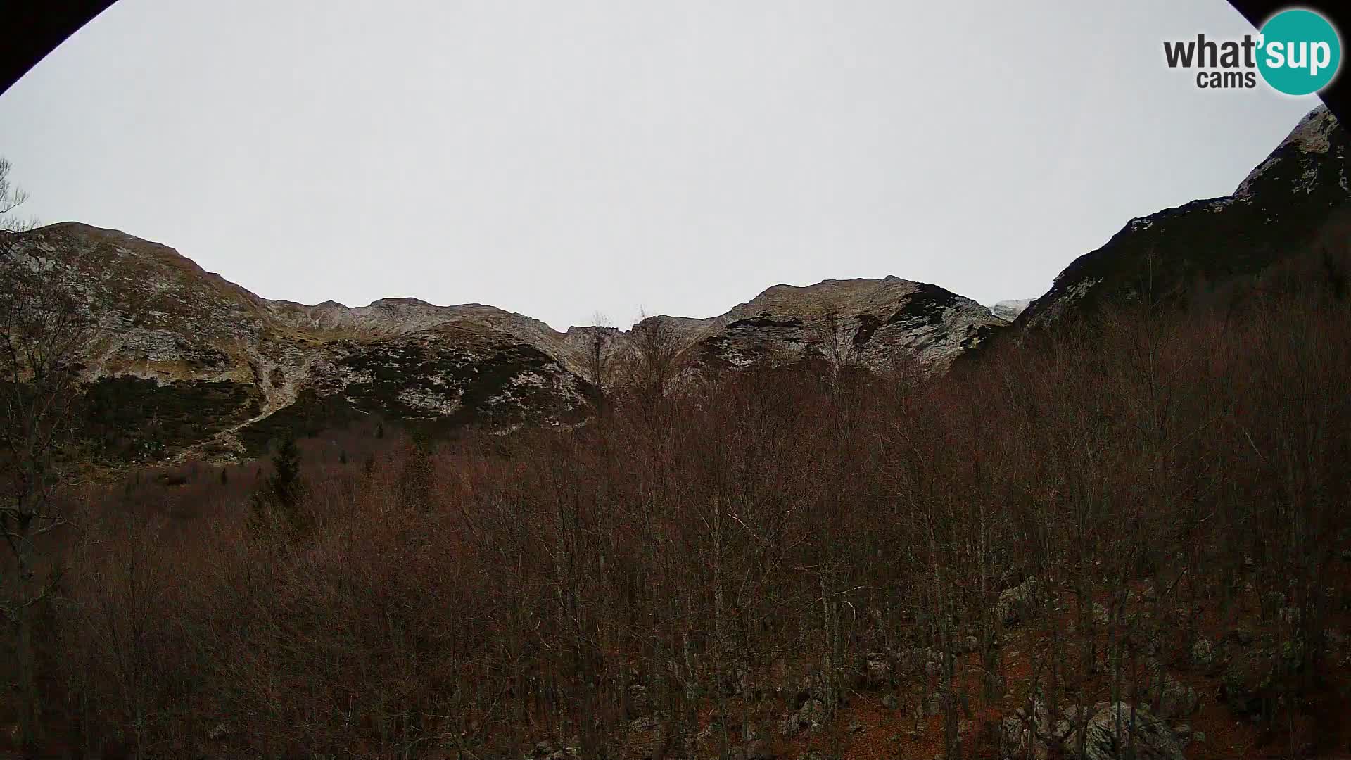 PLANINA RAZOR web kamera (1315) | pogled na Vogel i Globoko