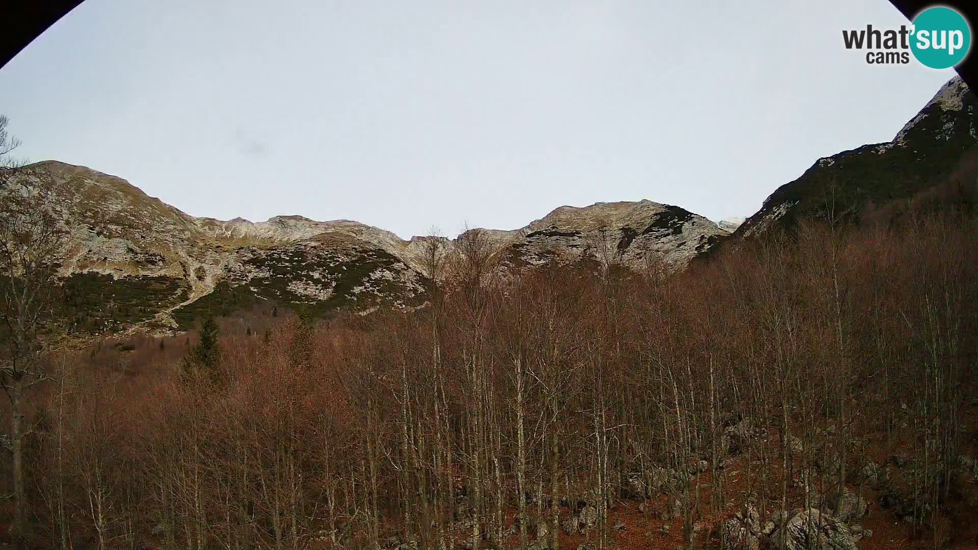 PLANINA RAZOR web kamera (1315) | pogled na Vogel i Globoko