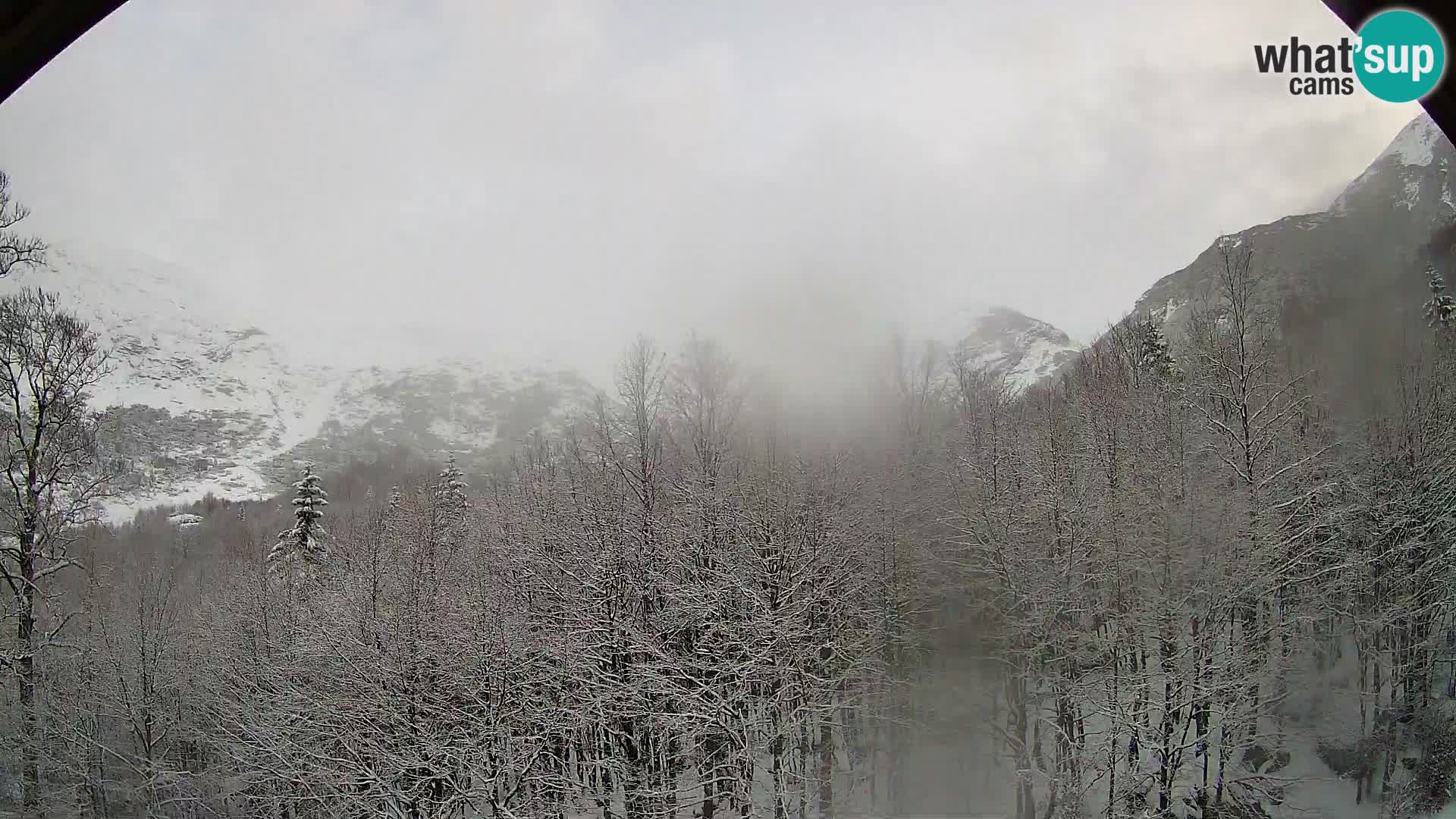 PLANINA RAZOR Live Cam (1315) | vista su Vogel e Globoko