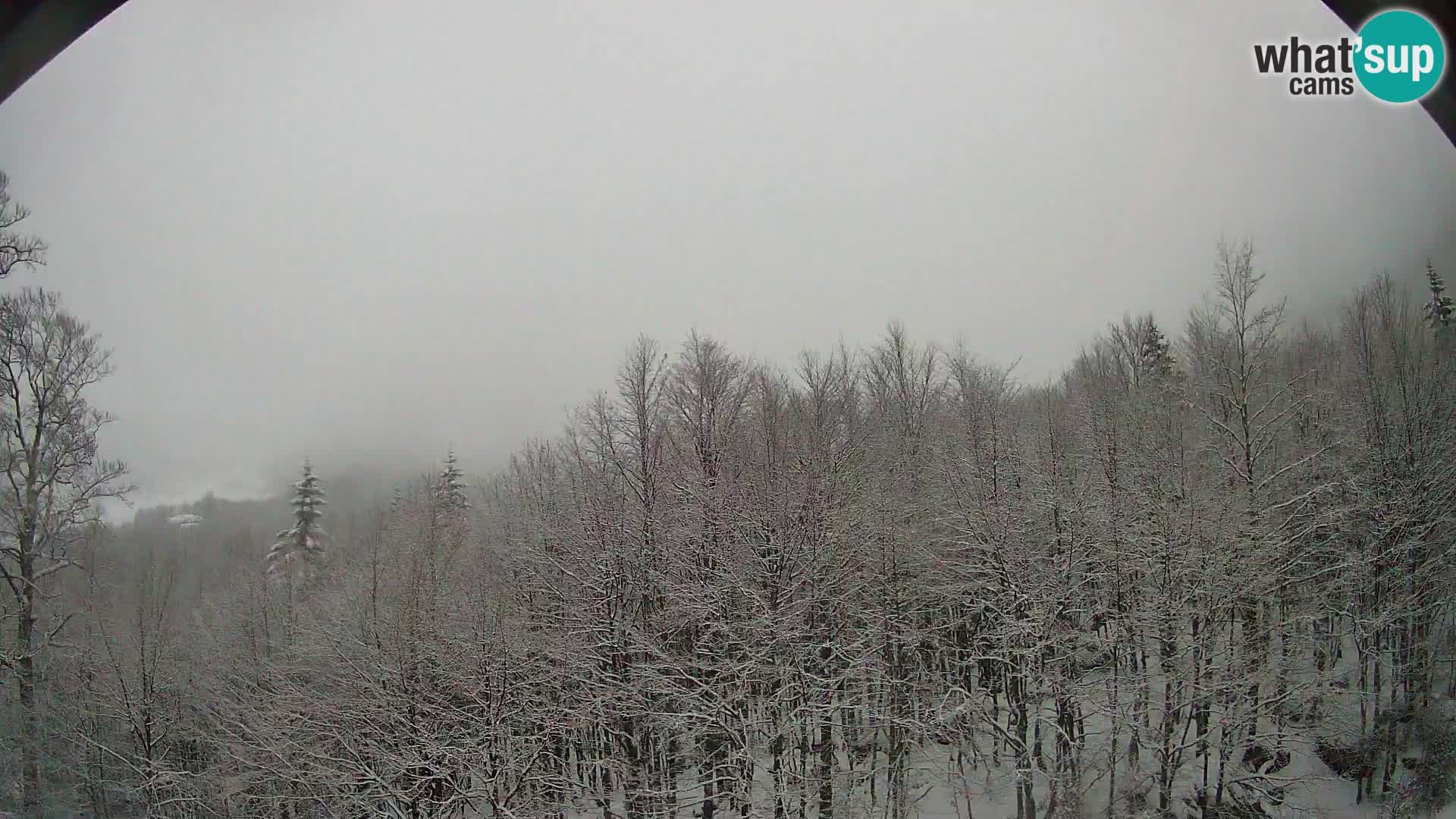 Webcam PLANINA RAZOR (1315) | Blick auf Vogel und Globoko