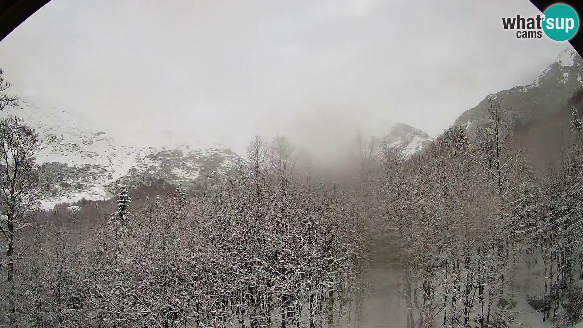 PLANINA RAZOR Live Cam (1315) | vista su Vogel e Globoko