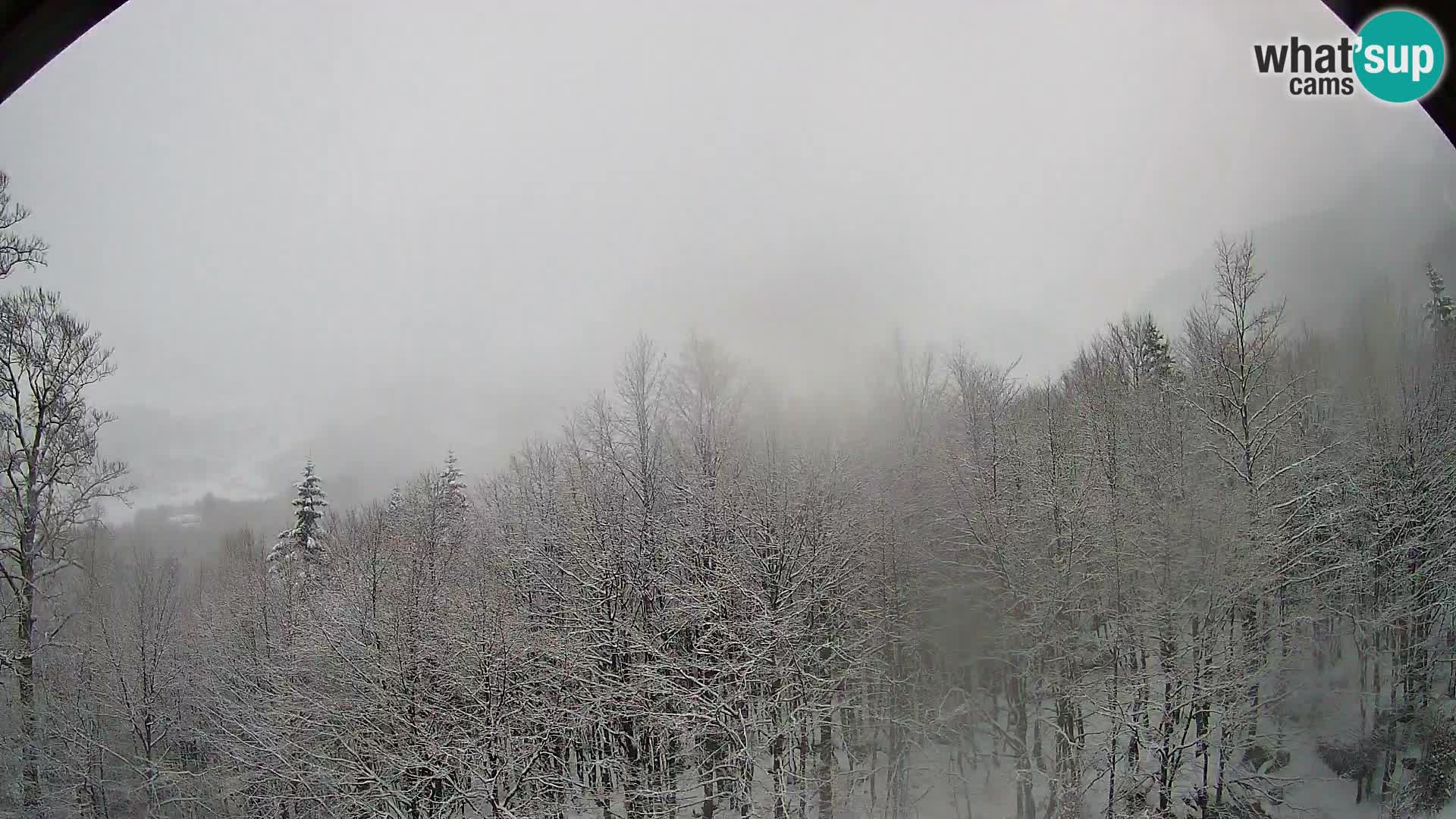 Webcam PLANINA RAZOR (1315) | Blick auf Vogel und Globoko