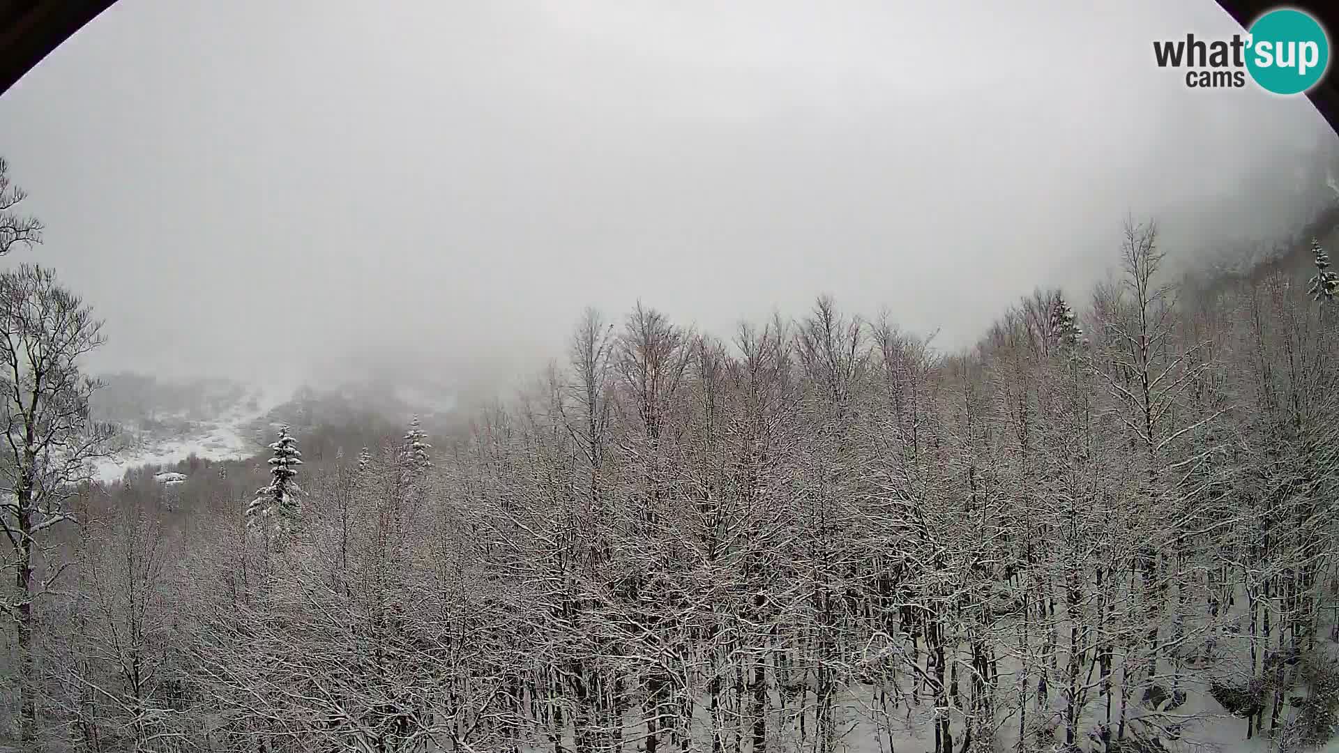 Webcam PLANINA RAZOR (1315) | Blick auf Vogel und Globoko