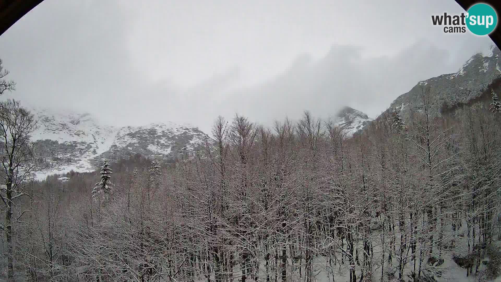 Webcam PLANINA RAZOR (1315) | Blick auf Vogel und Globoko