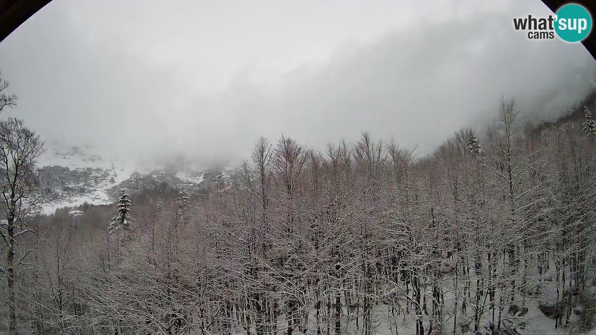 Webcam PLANINA RAZOR (1315) | Blick auf Vogel und Globoko