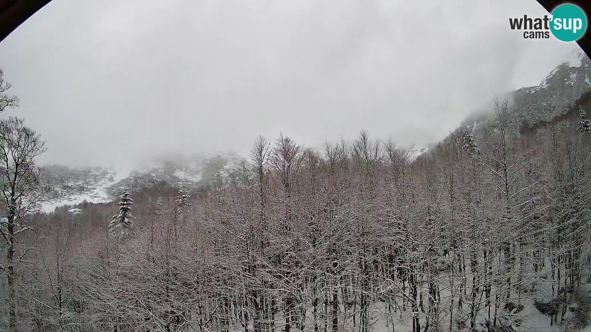 PLANINA RAZOR web kamera (1315) | pogled na Vogel i Globoko