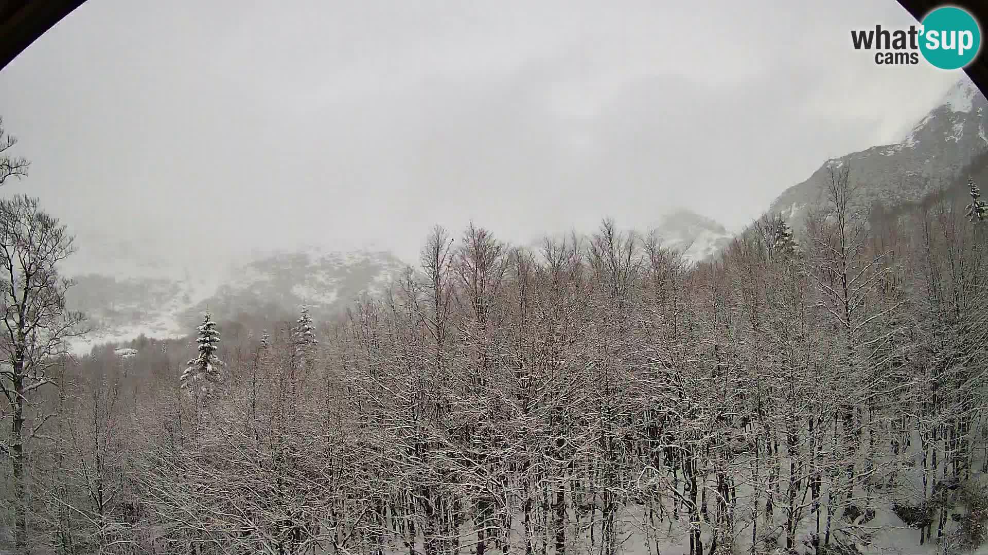 PLANINA RAZOR web kamera (1315) | pogled na Vogel i Globoko