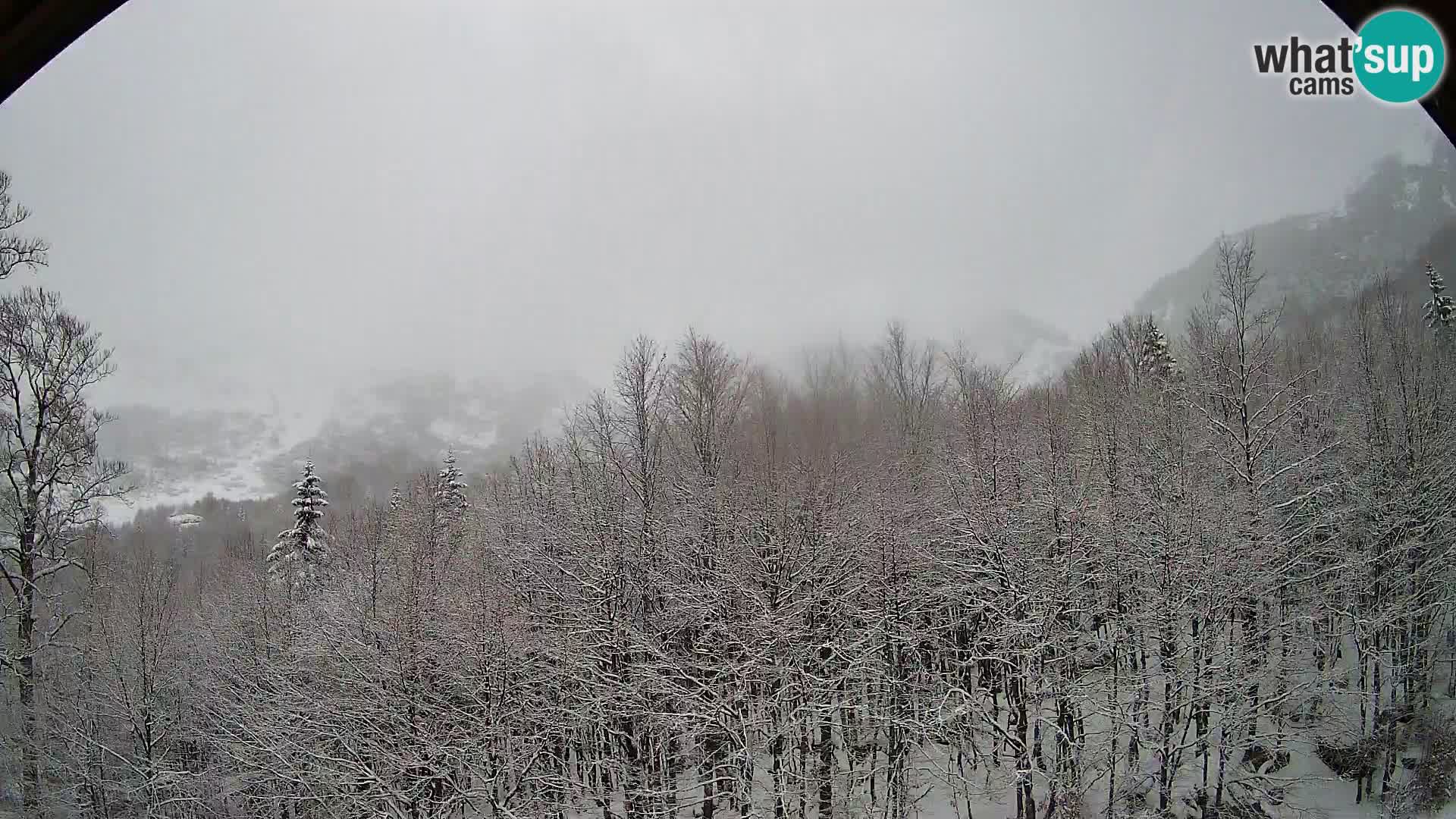 PLANINA RAZOR web kamera (1315) | pogled na Vogel i Globoko