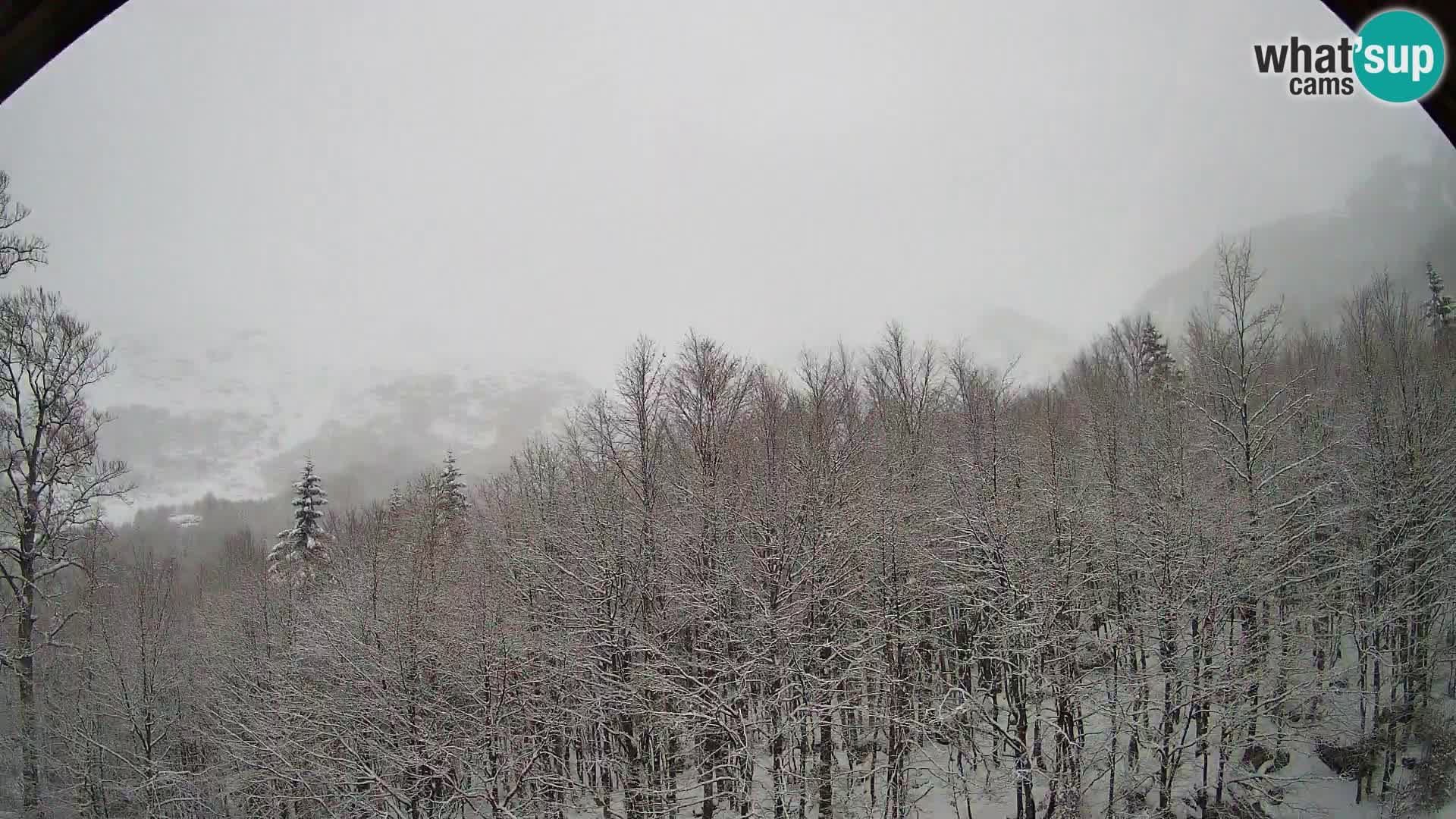 PLANINA RAZOR kamera (1315) | pogled na Vogel in Globoko