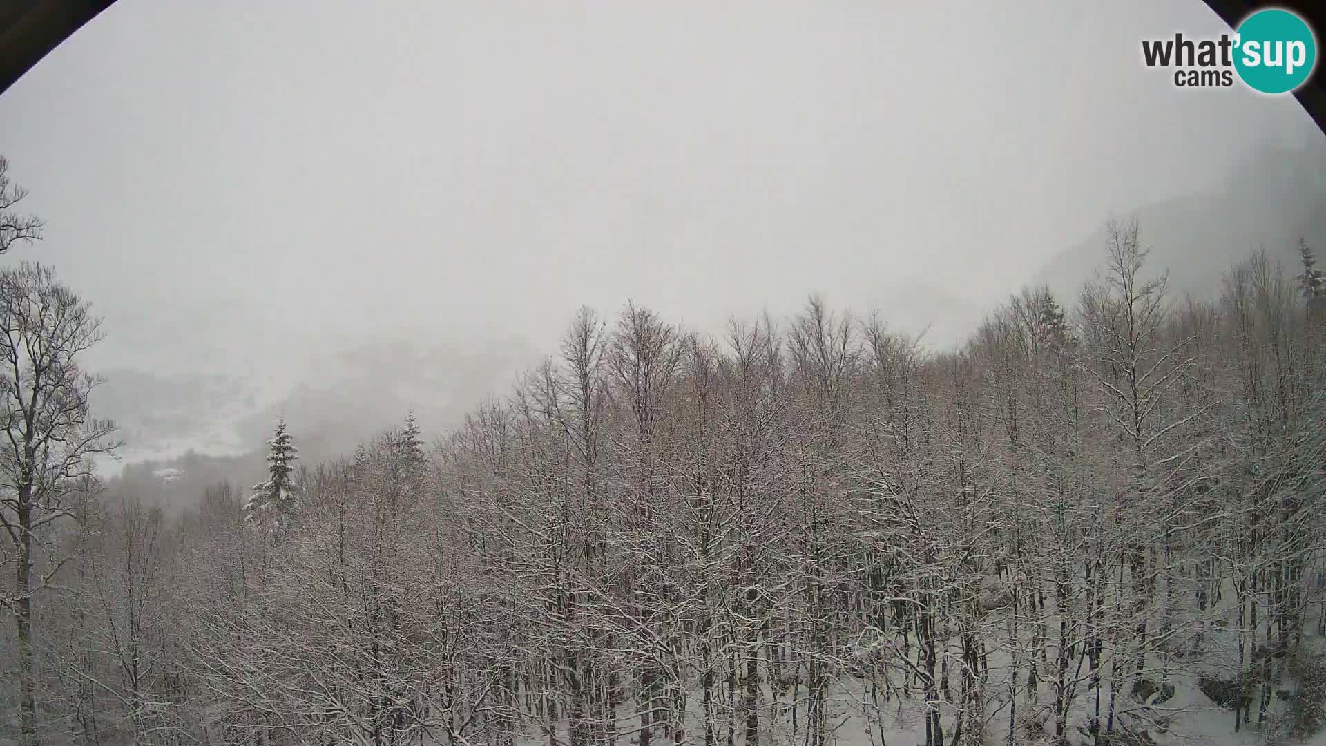 PLANINA RAZOR Live Cam (1315) | vista su Vogel e Globoko