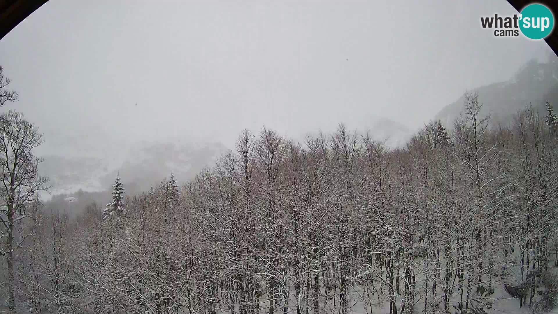 PLANINA RAZOR Live Cam (1315) | vista su Vogel e Globoko