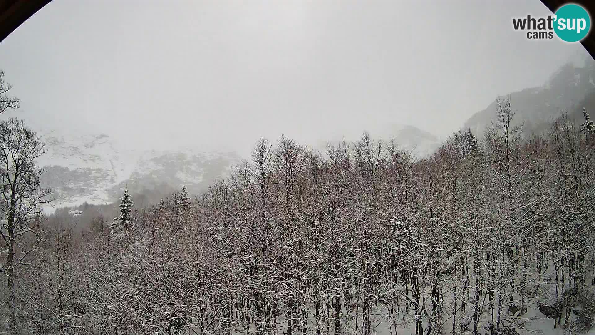 PLANINA RAZOR kamera (1315) | pogled na Vogel in Globoko