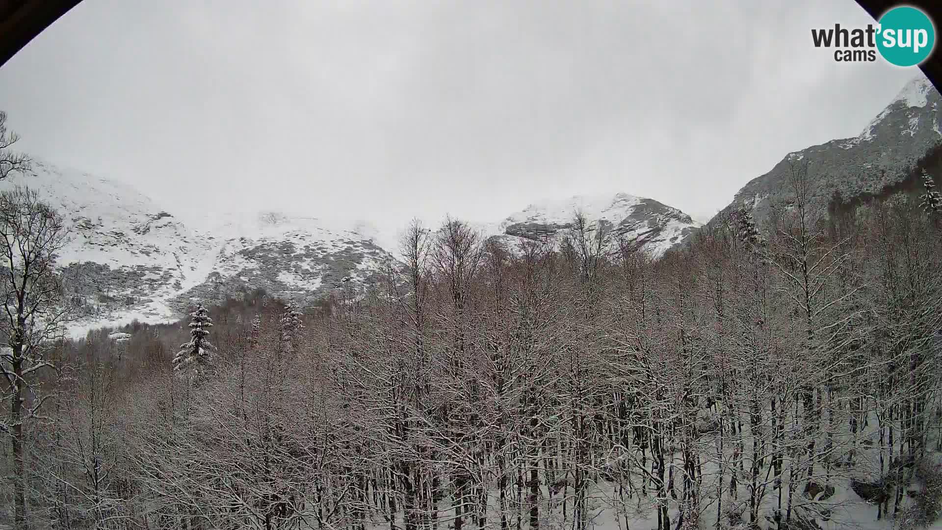 PLANINA RAZOR web kamera (1315) | pogled na Vogel i Globoko