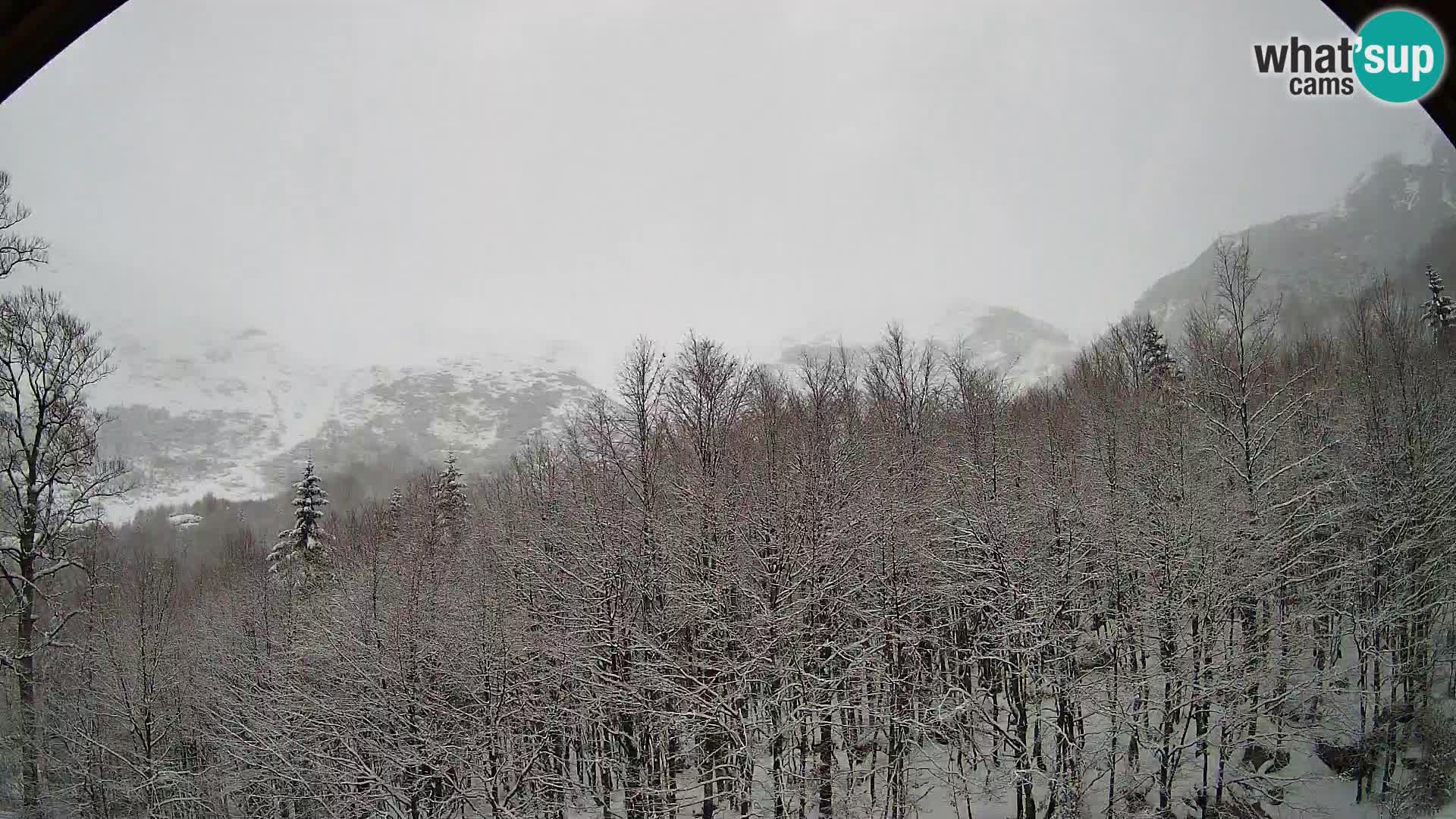 PLANINA RAZOR web kamera (1315) | pogled na Vogel i Globoko