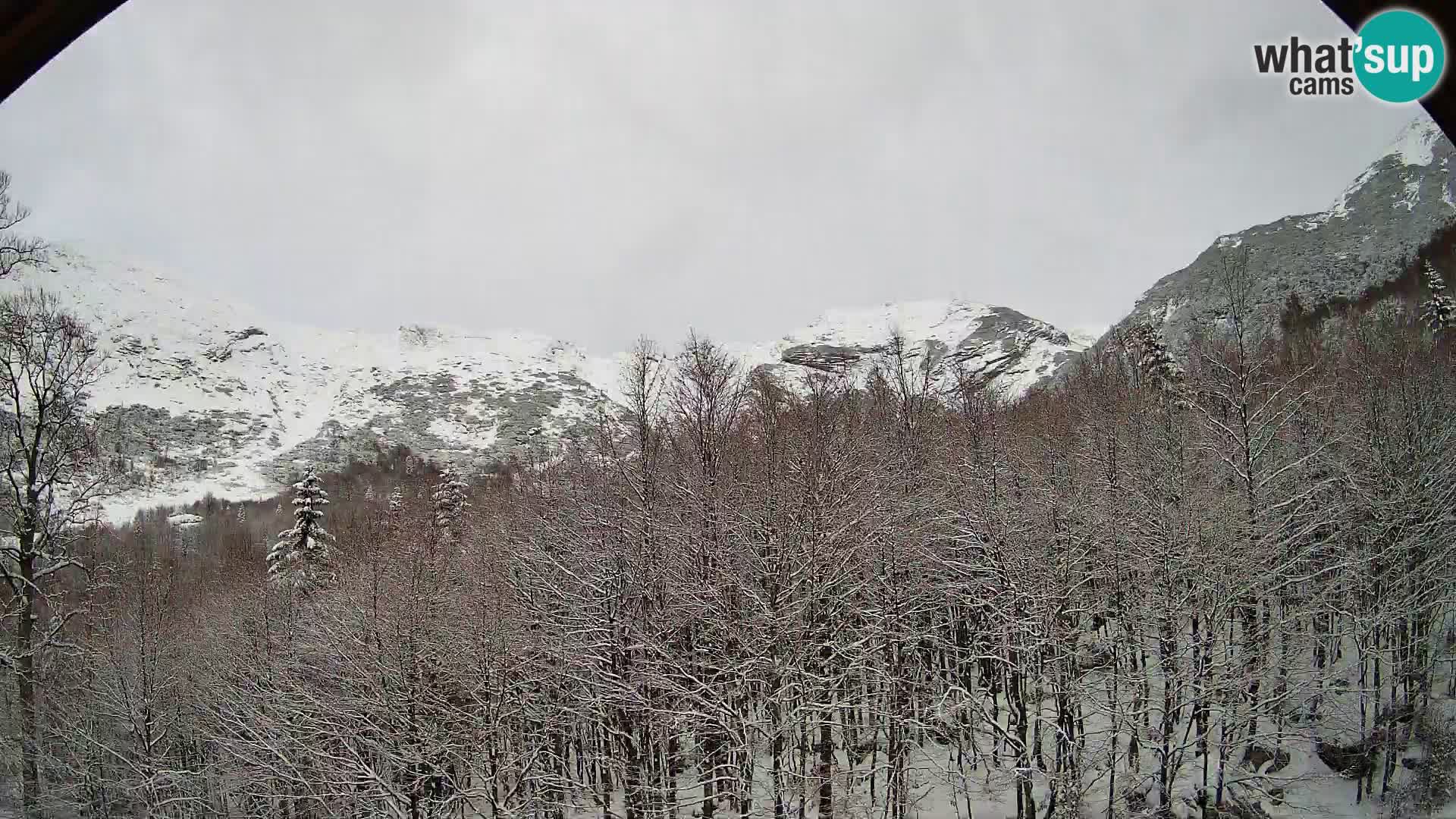 PLANINA RAZOR Live Cam (1315) | vista su Vogel e Globoko