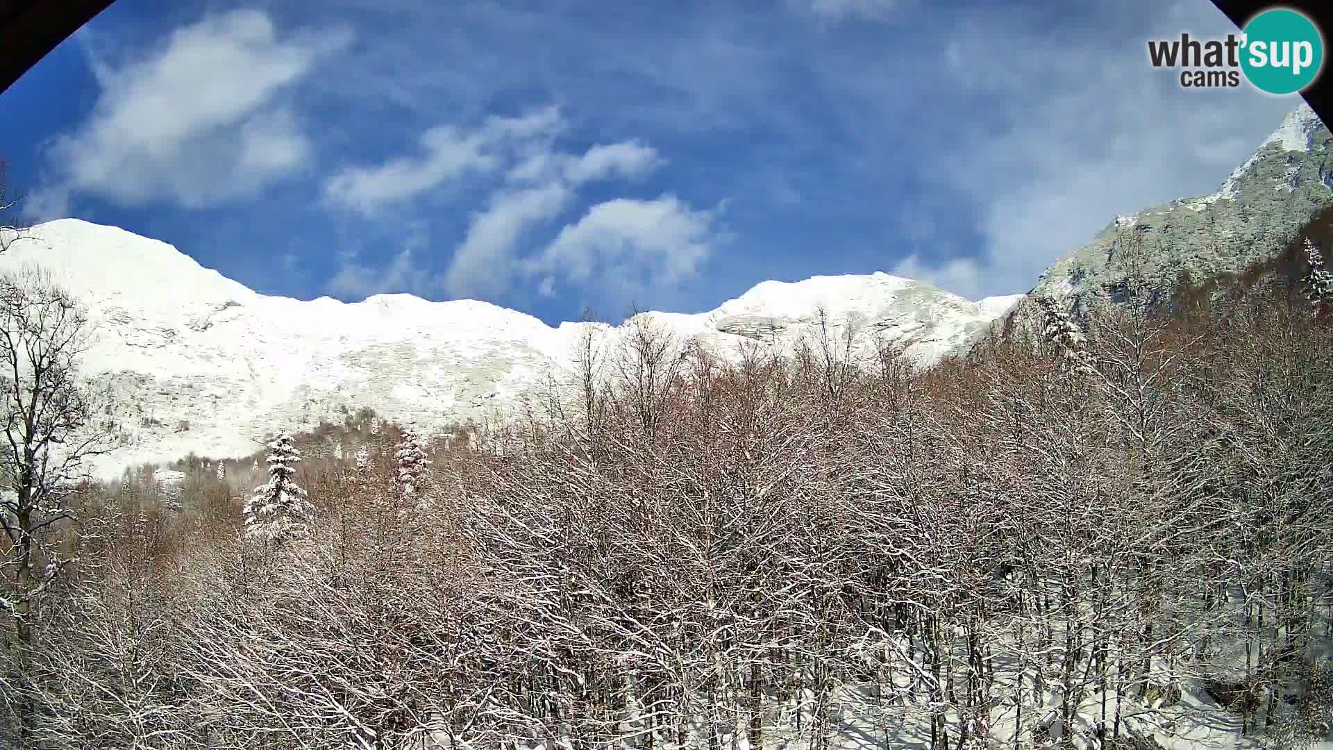 PLANINA RAZOR kamera (1315) | pogled na Vogel in Globoko