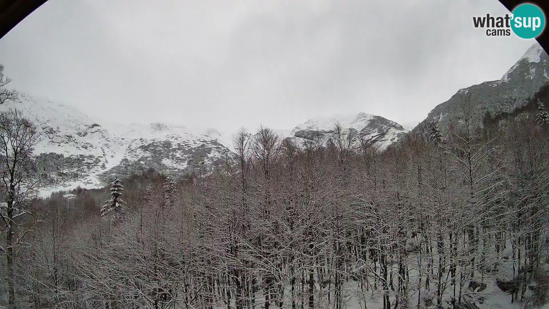 PLANINA RAZOR Live Cam (1315) | vista su Vogel e Globoko