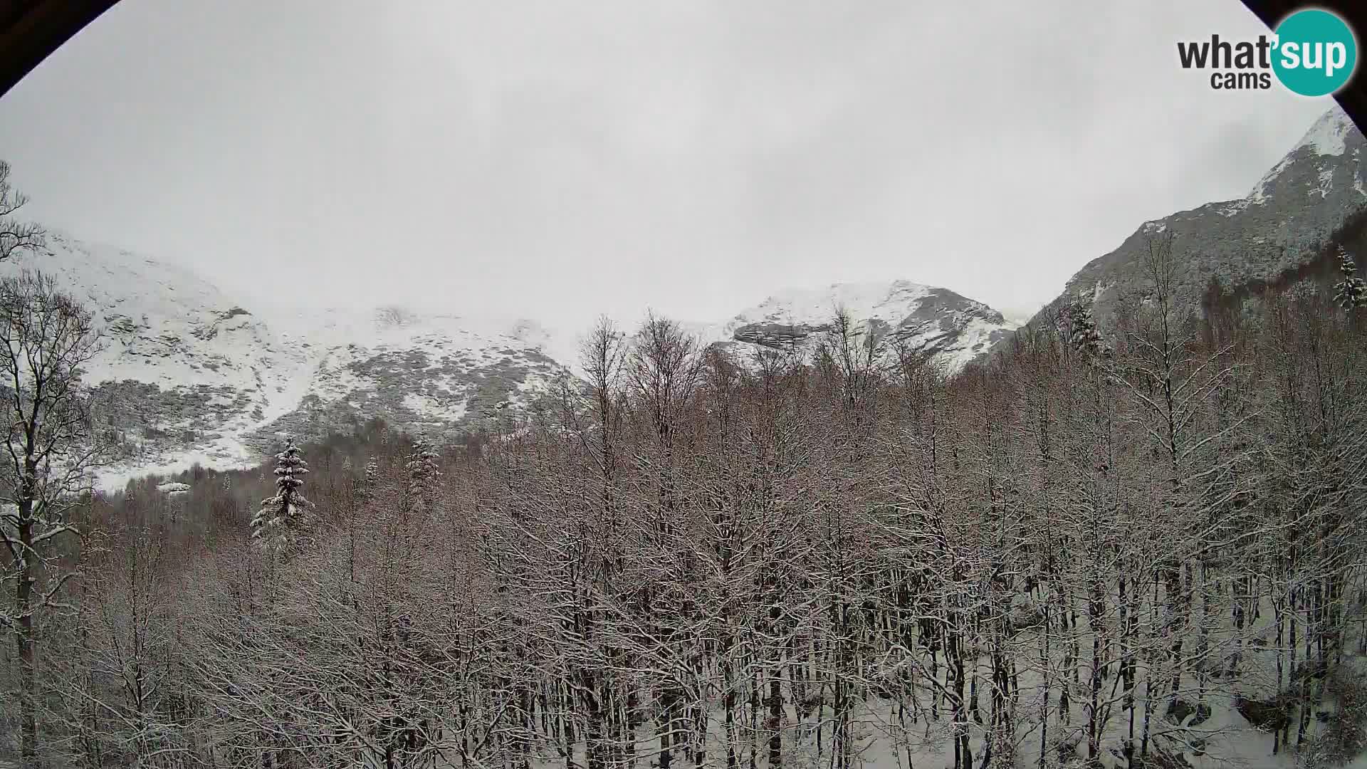 PLANINA RAZOR web kamera (1315) | pogled na Vogel i Globoko