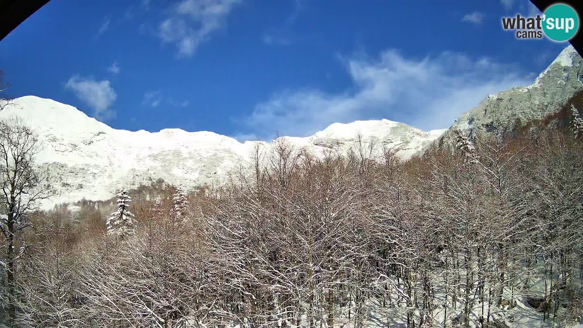 Webcam PLANINA RAZOR (1315) | Blick auf Vogel und Globoko