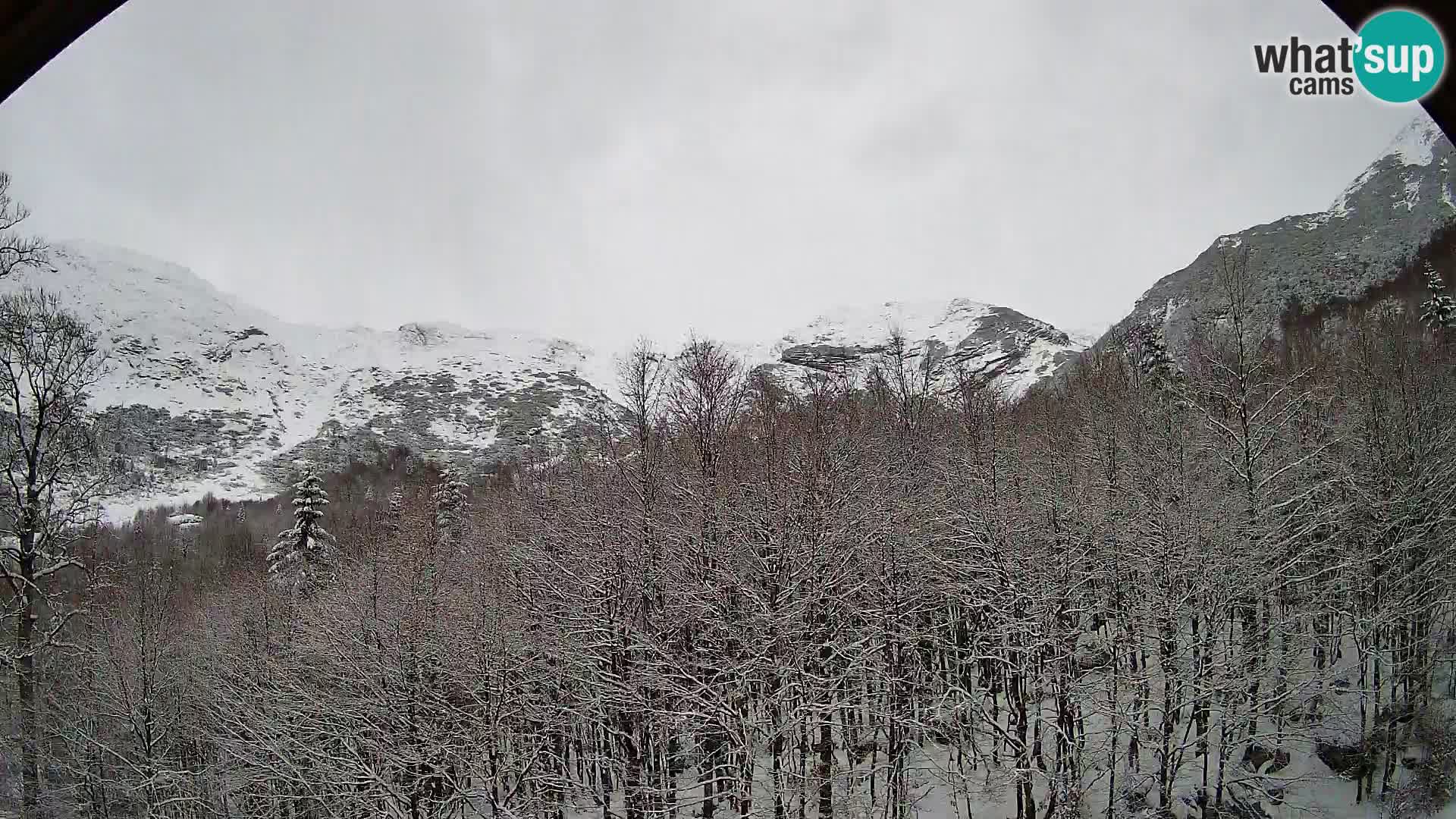 PLANINA RAZOR web kamera (1315) | pogled na Vogel i Globoko