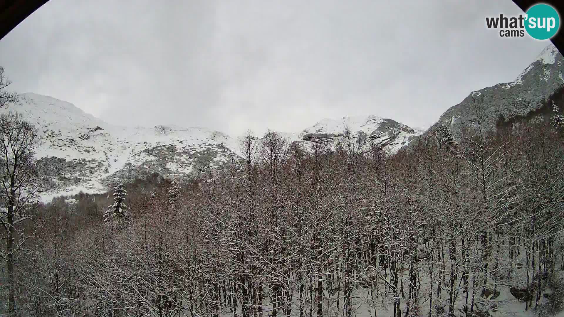 Webcam PLANINA RAZOR (1315) | Blick auf Vogel und Globoko