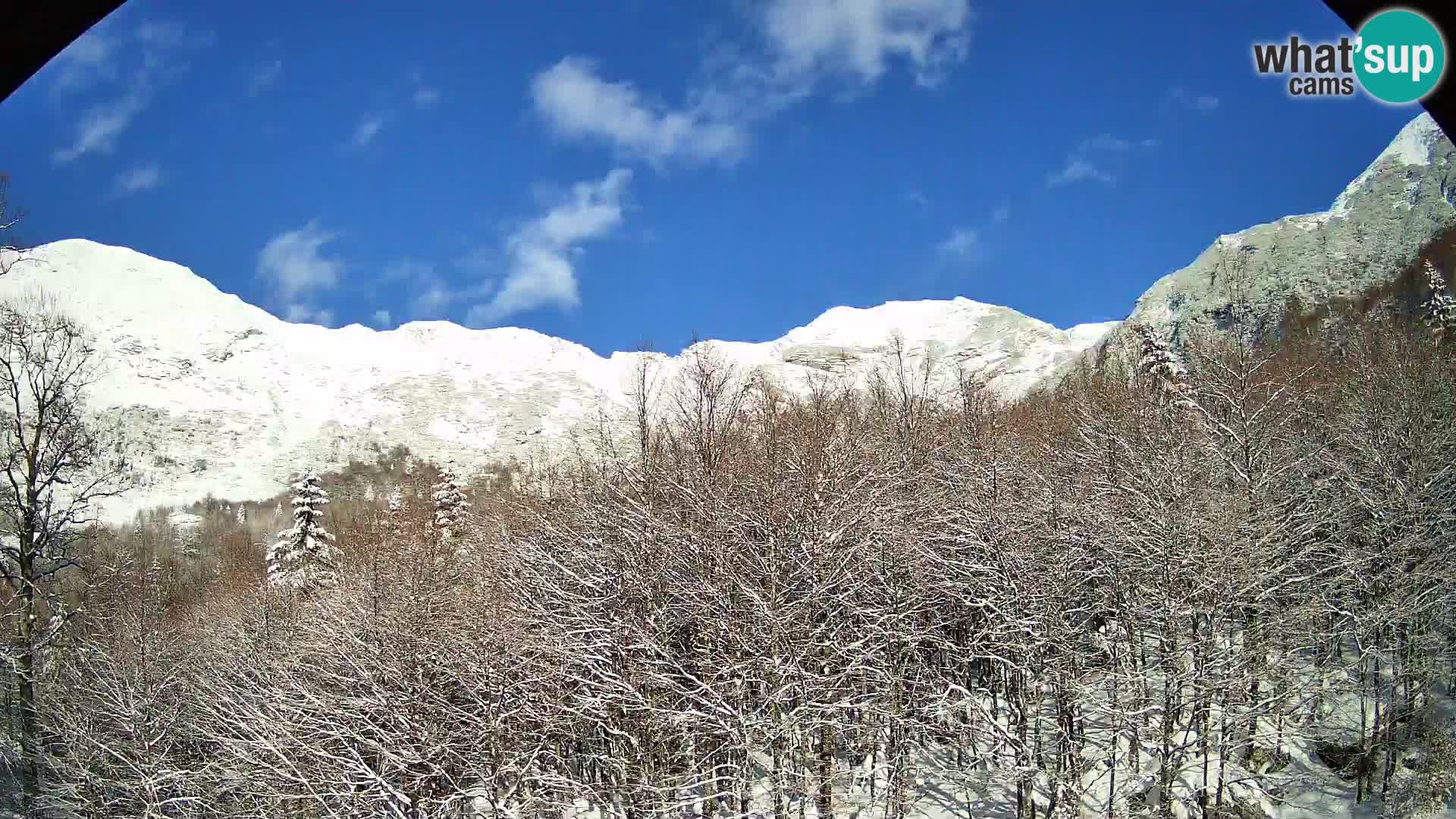 PLANINA RAZOR Live Cam (1315) | vista su Vogel e Globoko