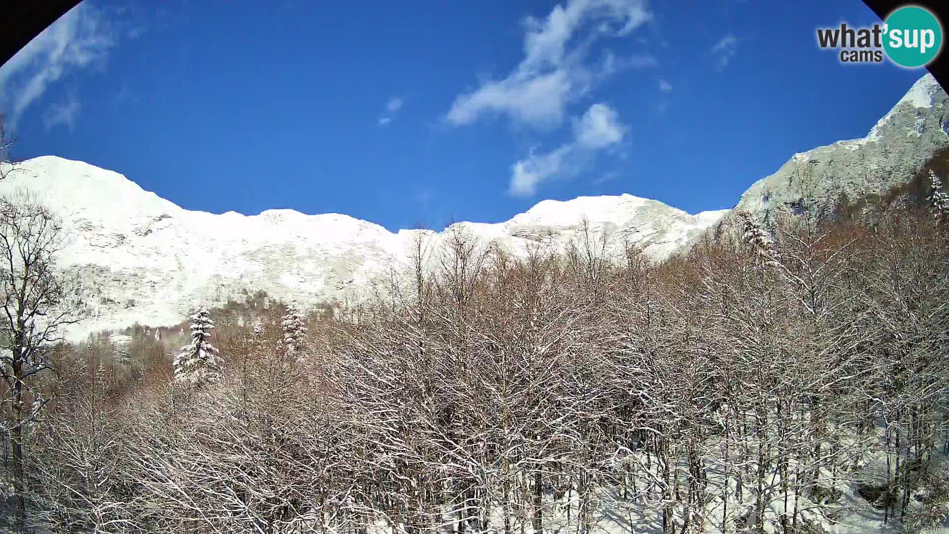 PLANINA RAZOR kamera (1315) | pogled na Vogel in Globoko