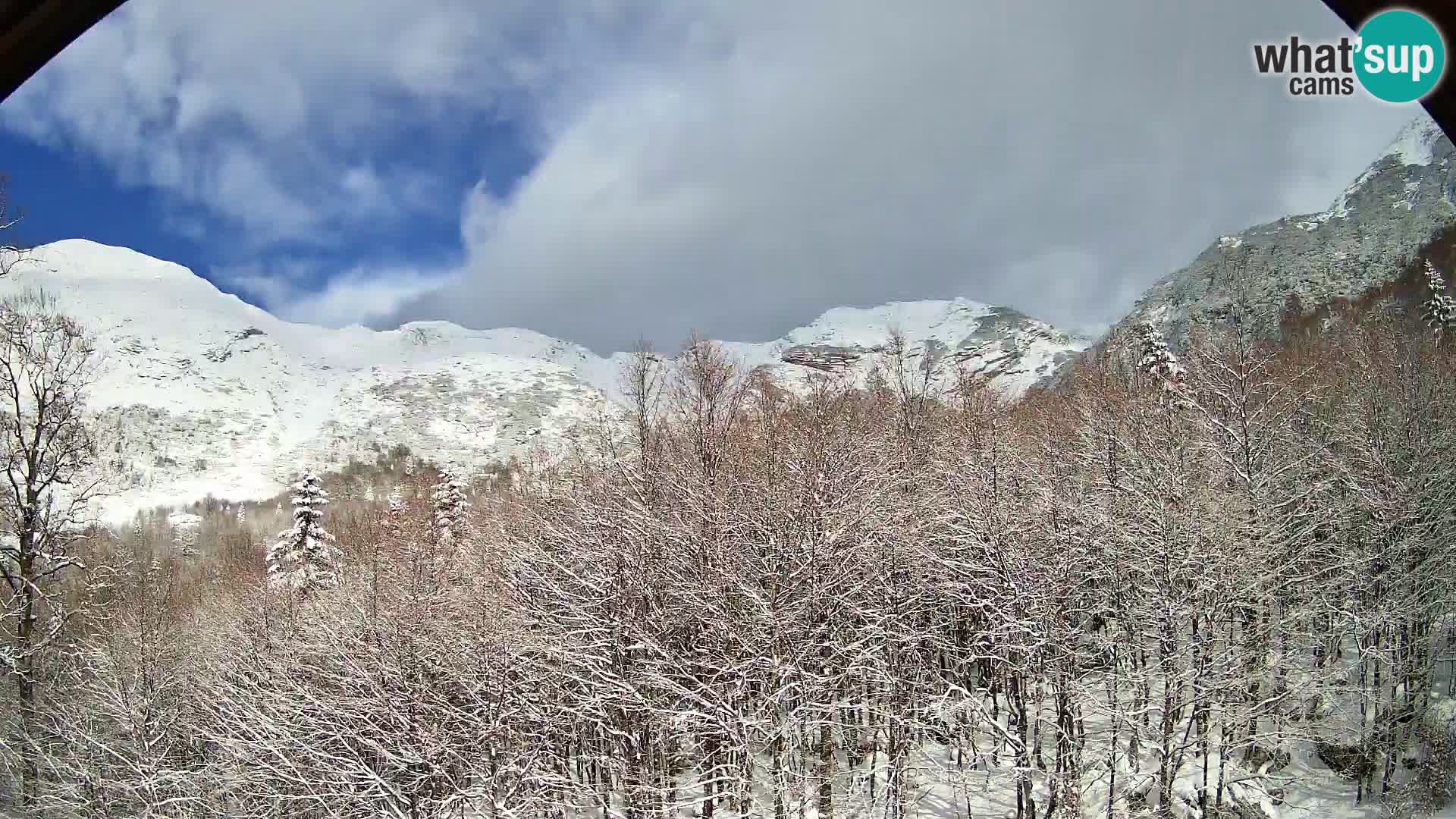 Webcam PLANINA RAZOR (1315) | Blick auf Vogel und Globoko