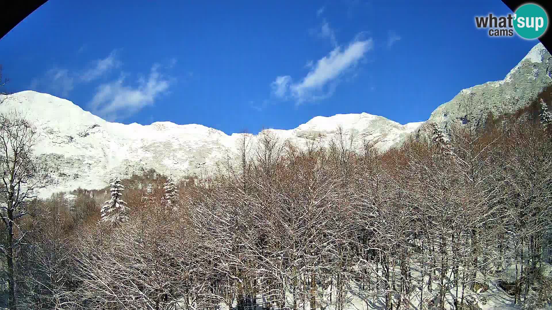 Webcam PLANINA RAZOR (1315) | Blick auf Vogel und Globoko