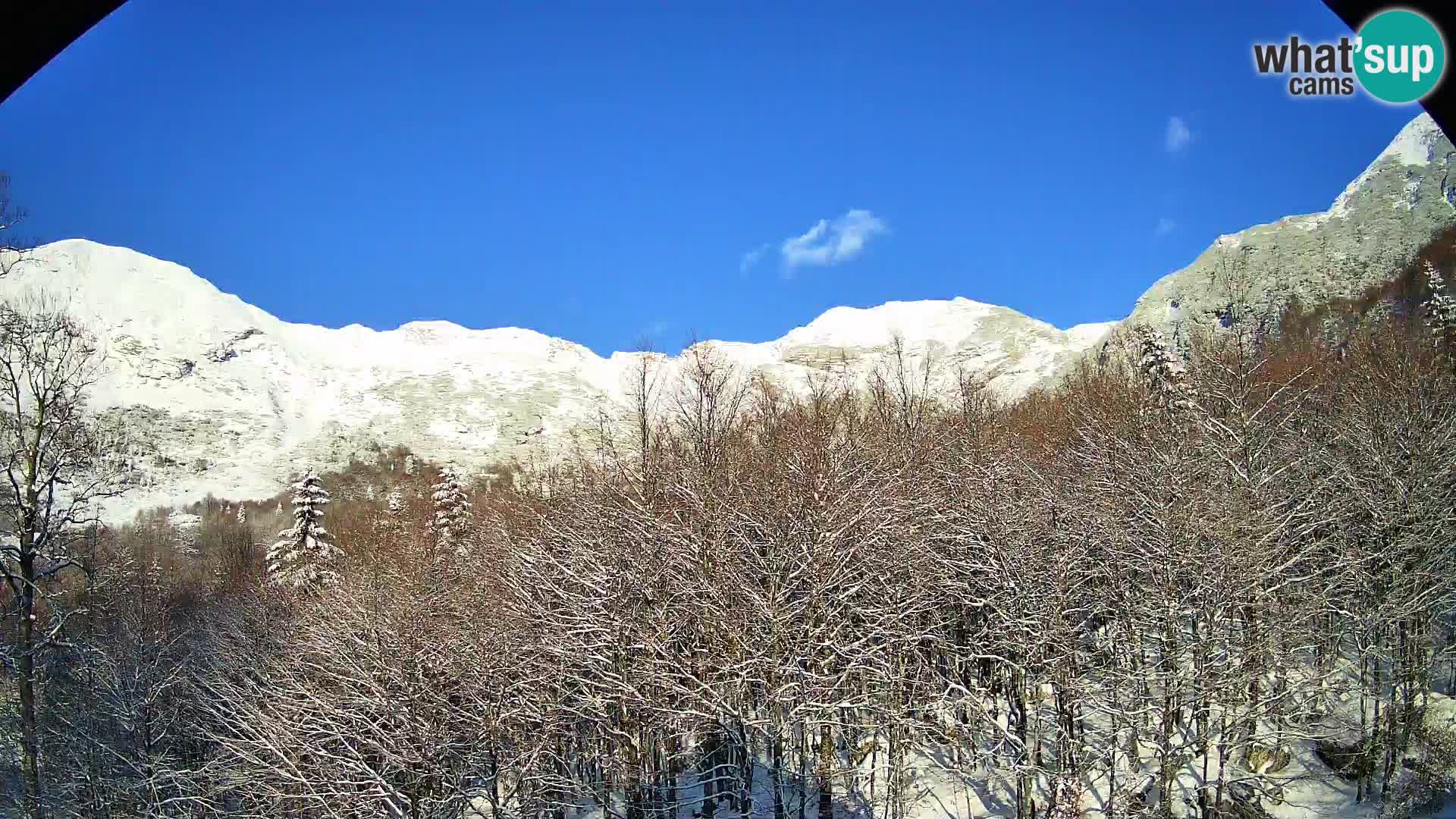 PLANINA RAZOR web kamera (1315) | pogled na Vogel i Globoko