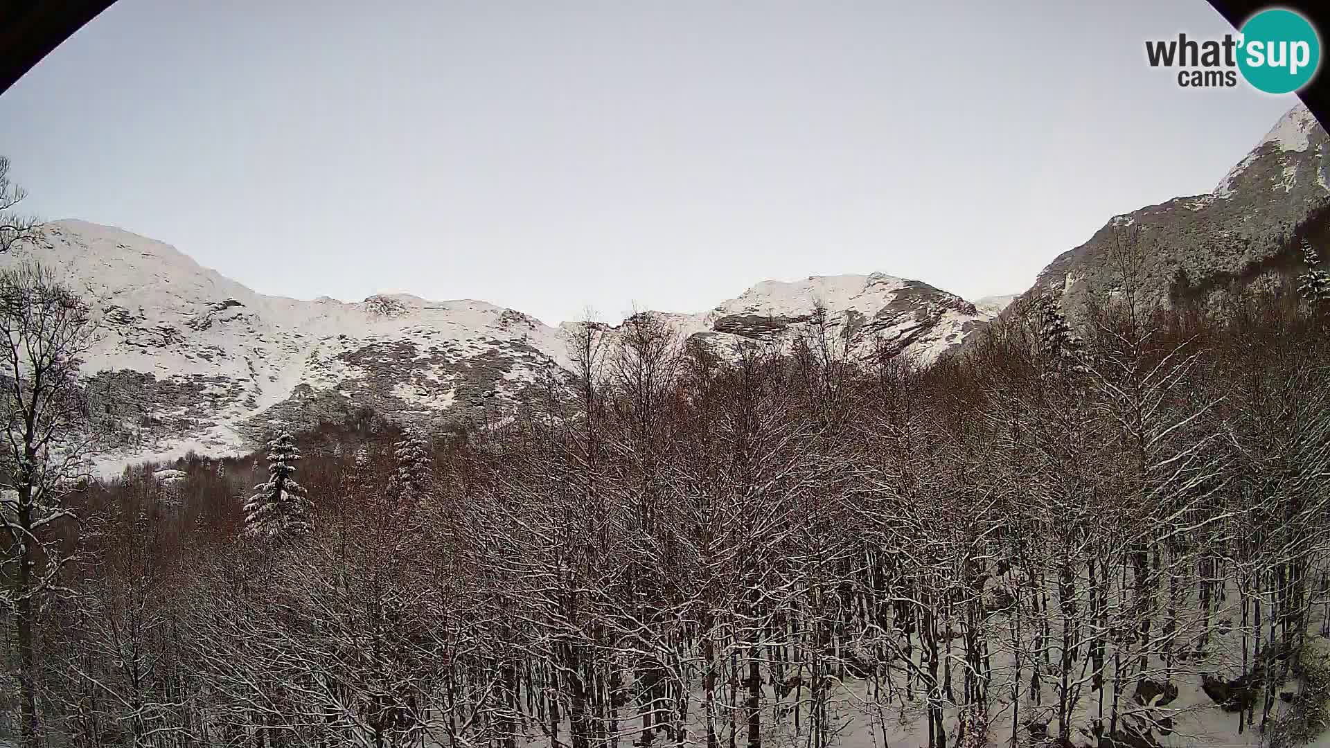 PLANINA RAZOR kamera (1315) | pogled na Vogel in Globoko