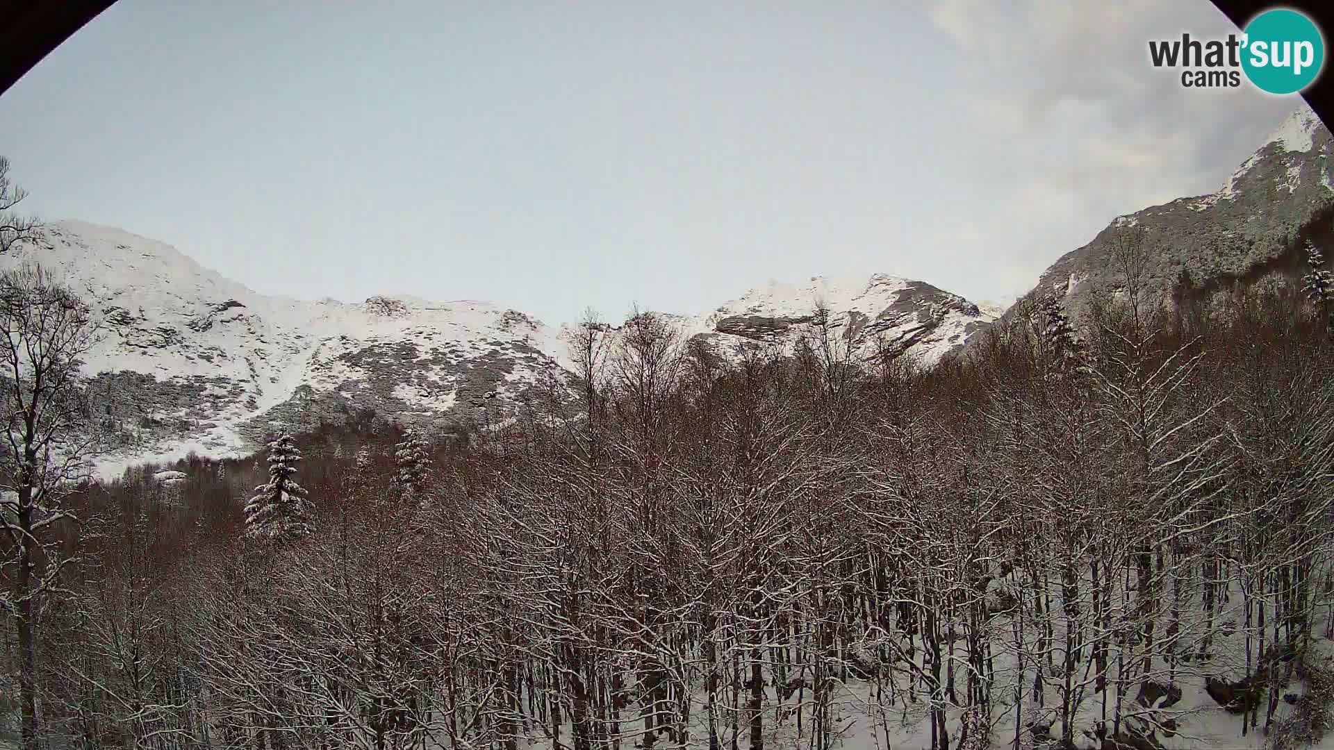 PLANINA RAZOR kamera (1315) | pogled na Vogel in Globoko