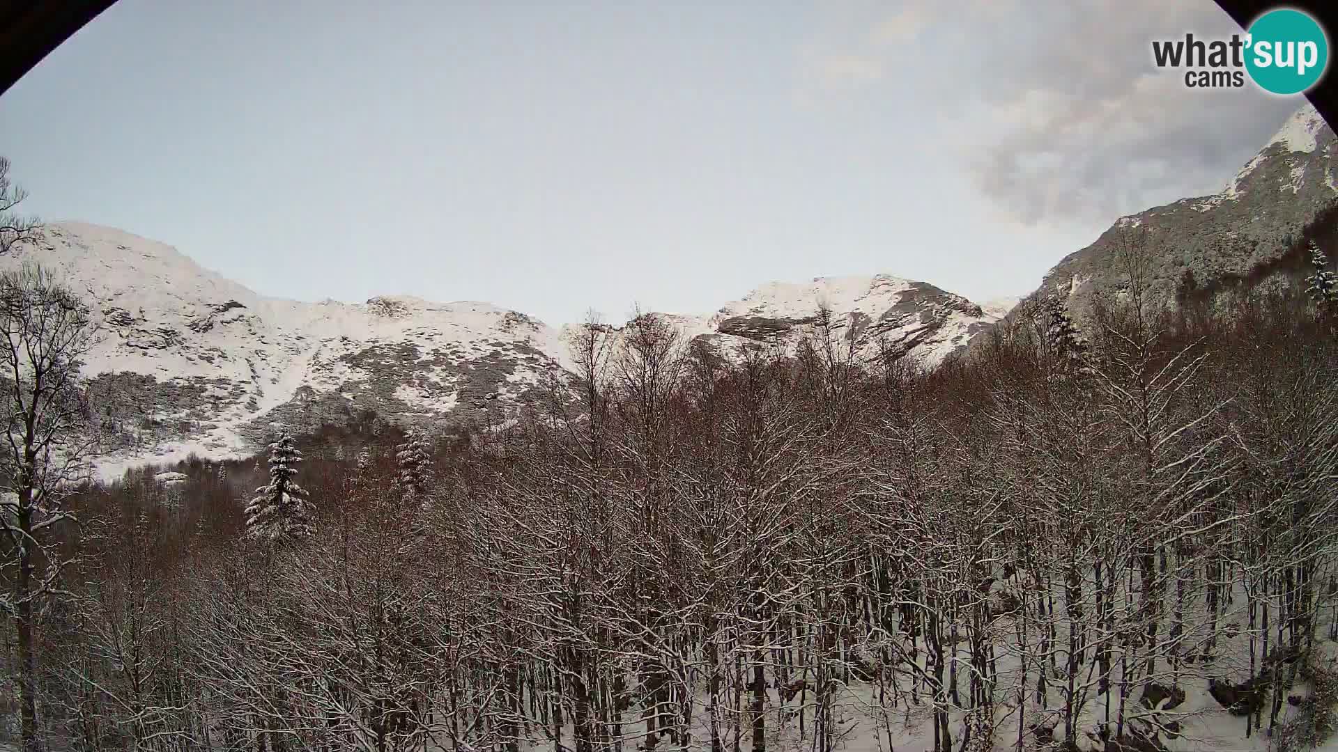 Webcam PLANINA RAZOR (1315) | Blick auf Vogel und Globoko