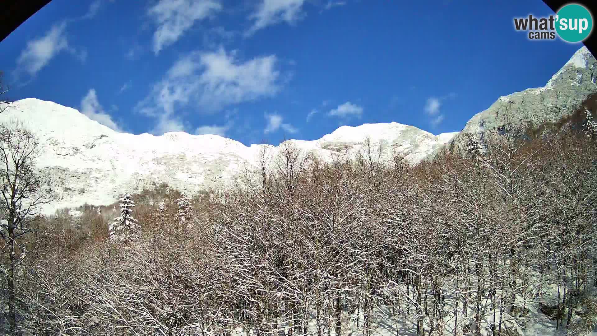 PLANINA RAZOR kamera (1315) | pogled na Vogel in Globoko