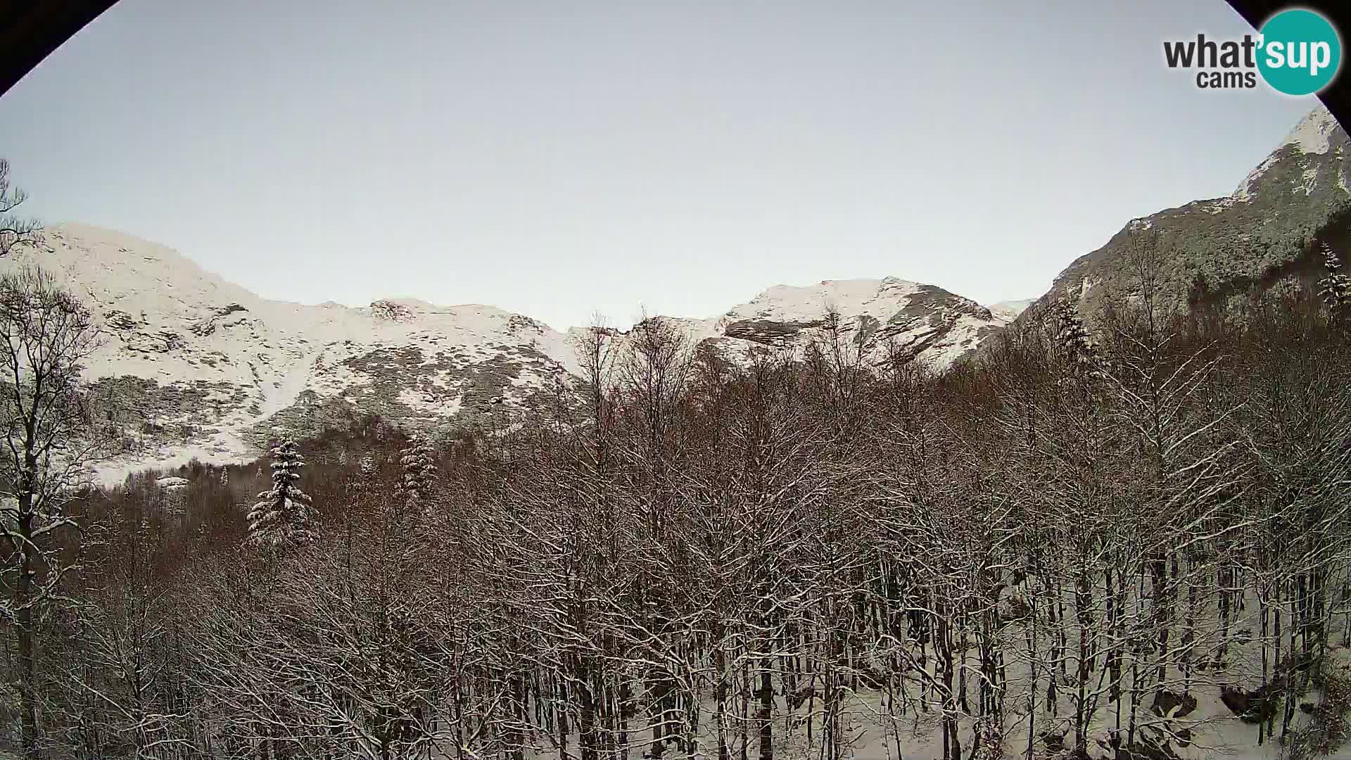 Webcam PLANINA RAZOR (1315) | Blick auf Vogel und Globoko