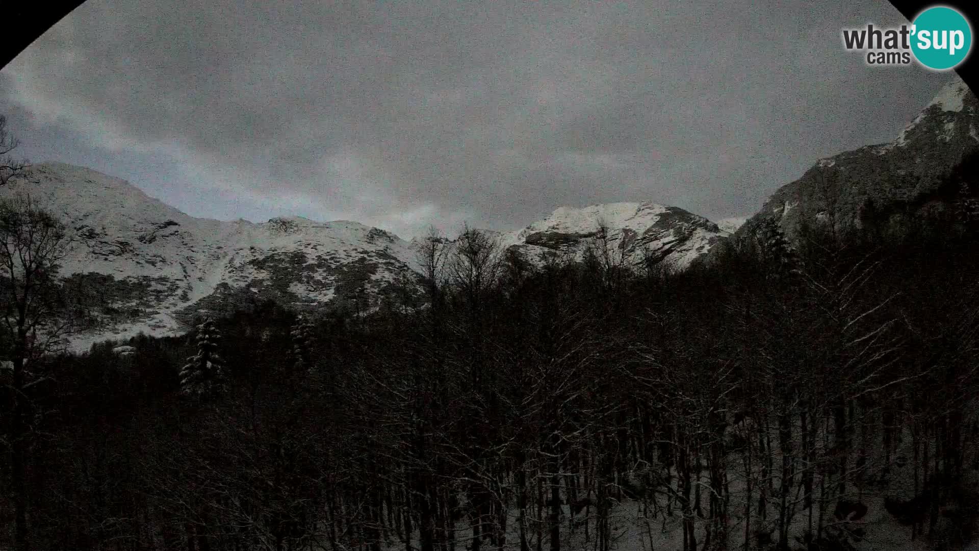 Webcam PLANINA RAZOR (1315) | Blick auf Vogel und Globoko