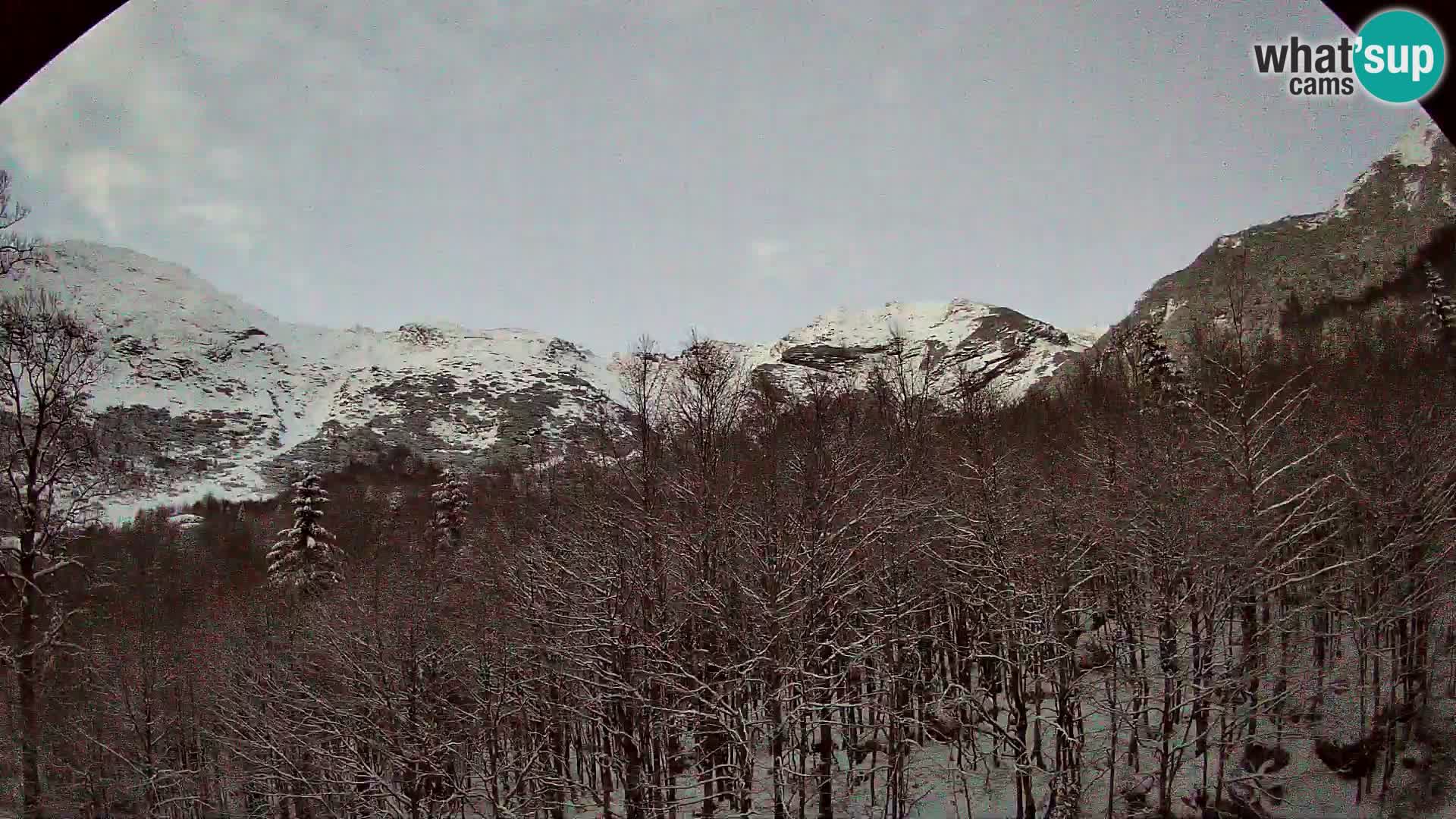 PLANINA RAZOR web kamera (1315) | pogled na Vogel i Globoko