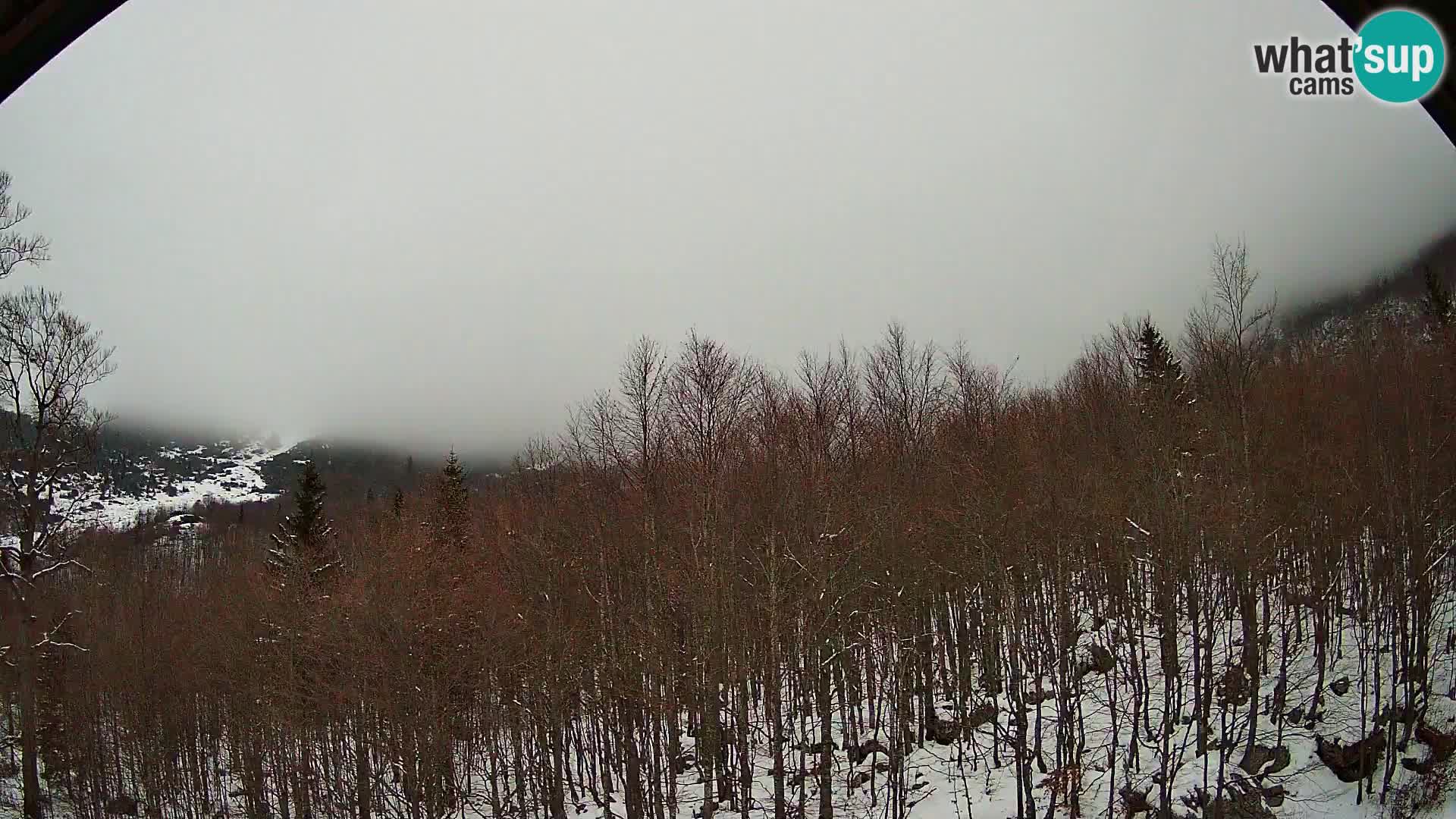 PLANINA RAZOR Live Cam (1315) | vista su Vogel e Globoko