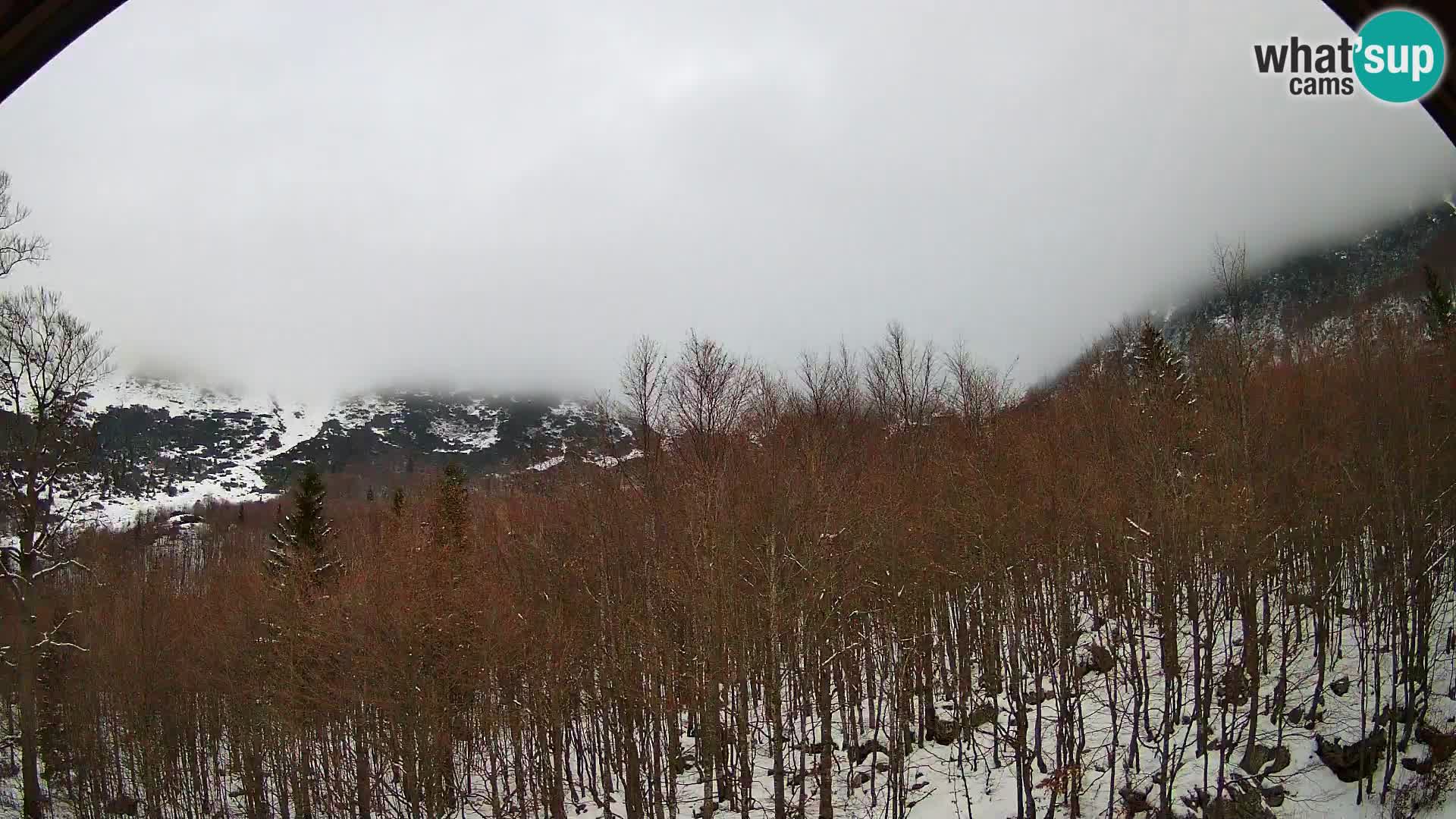 PLANINA RAZOR kamera (1315) | pogled na Vogel in Globoko