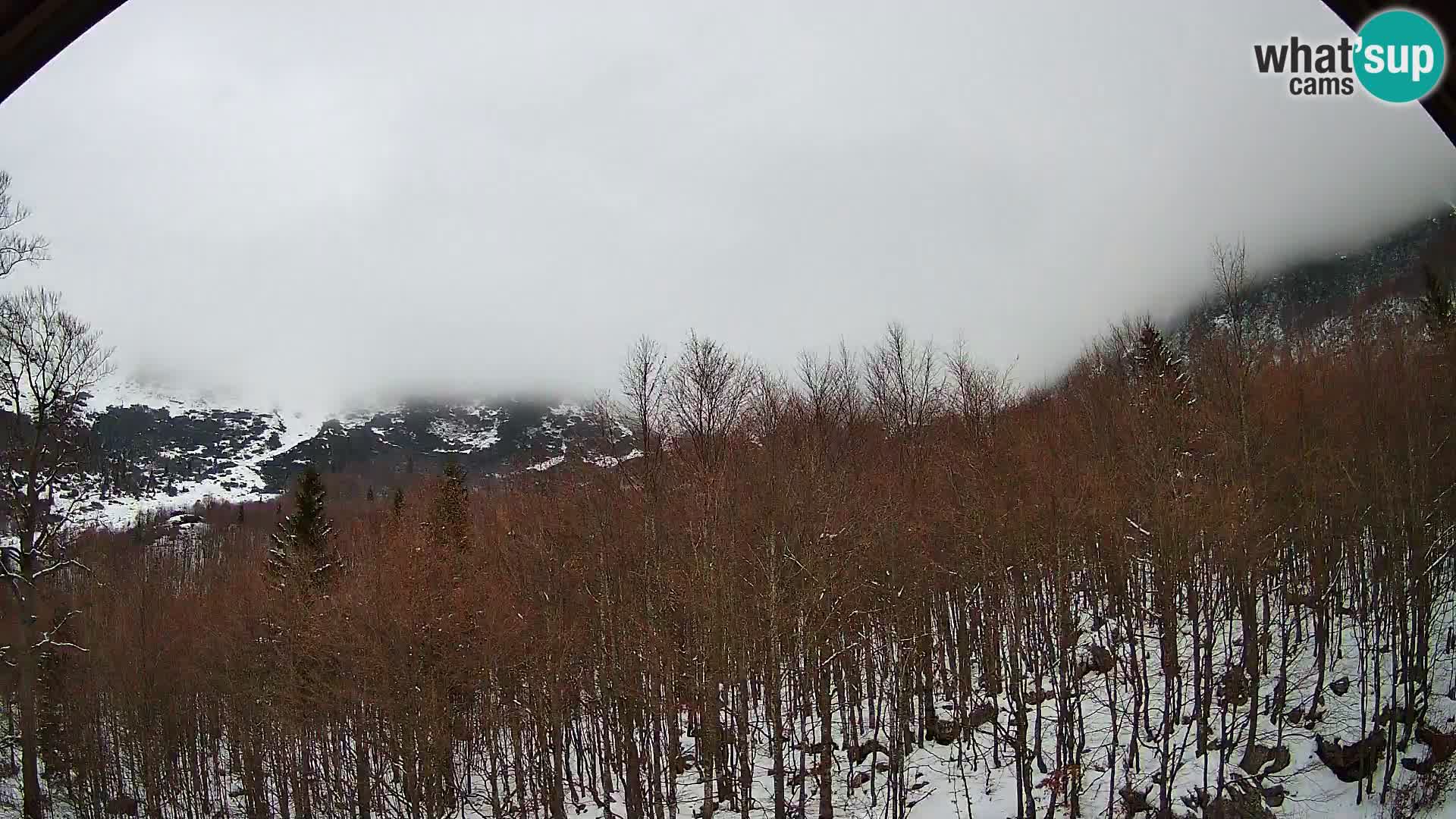 PLANINA RAZOR kamera (1315) | pogled na Vogel in Globoko