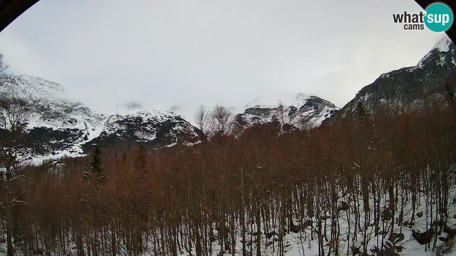 PLANINA RAZOR Live Cam (1315) | vista su Vogel e Globoko