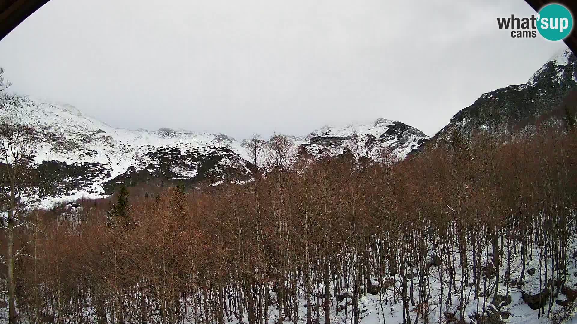 PLANINA RAZOR web kamera (1315) | pogled na Vogel i Globoko