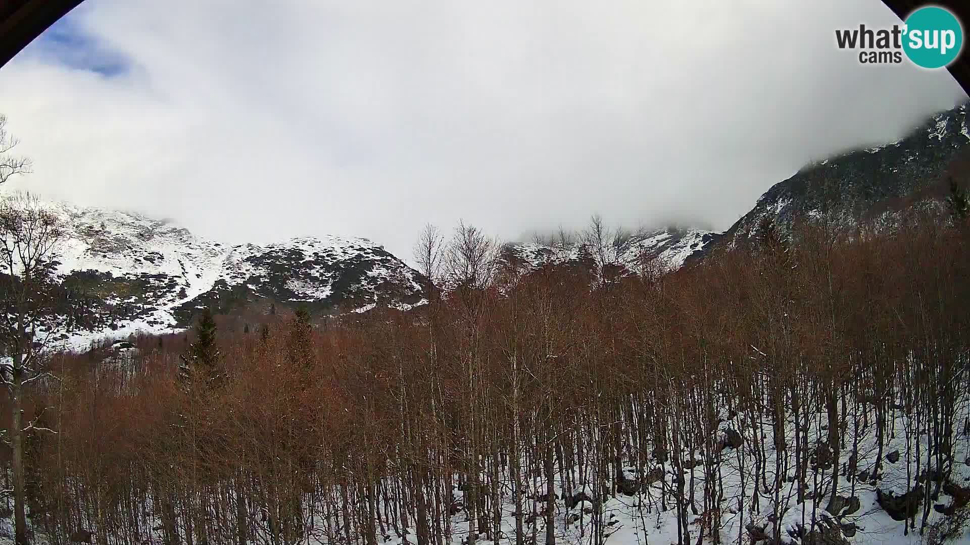 PLANINA RAZOR kamera (1315) | pogled na Vogel in Globoko