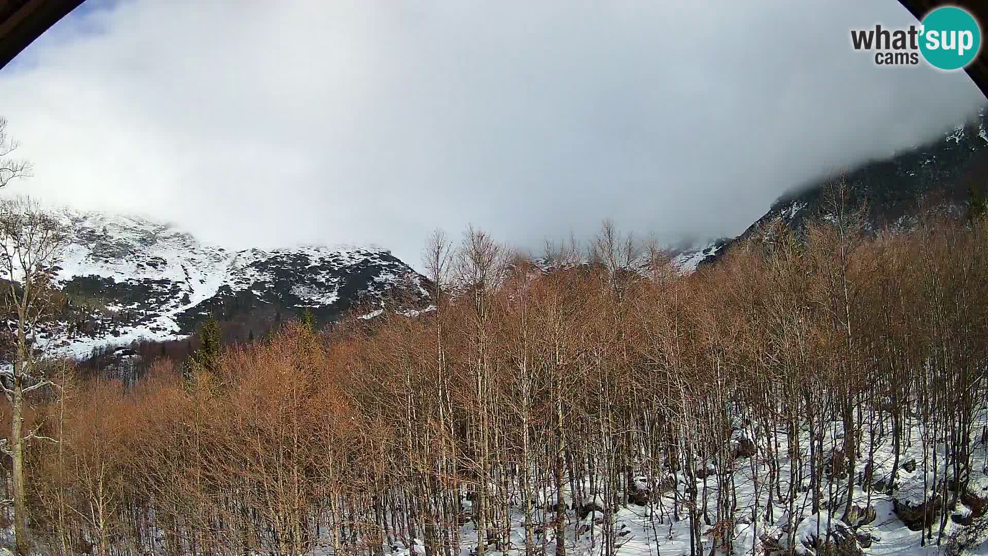 Webcam PLANINA RAZOR (1315) | Blick auf Vogel und Globoko