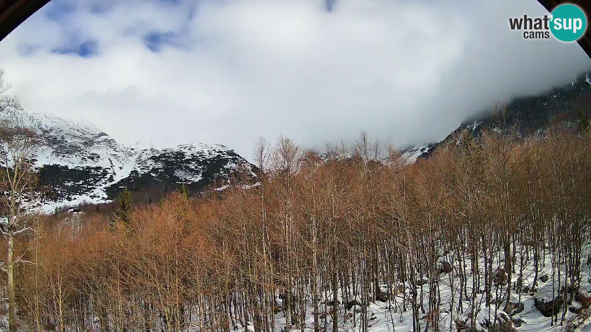 PLANINA RAZOR Live Cam (1315) | vista su Vogel e Globoko