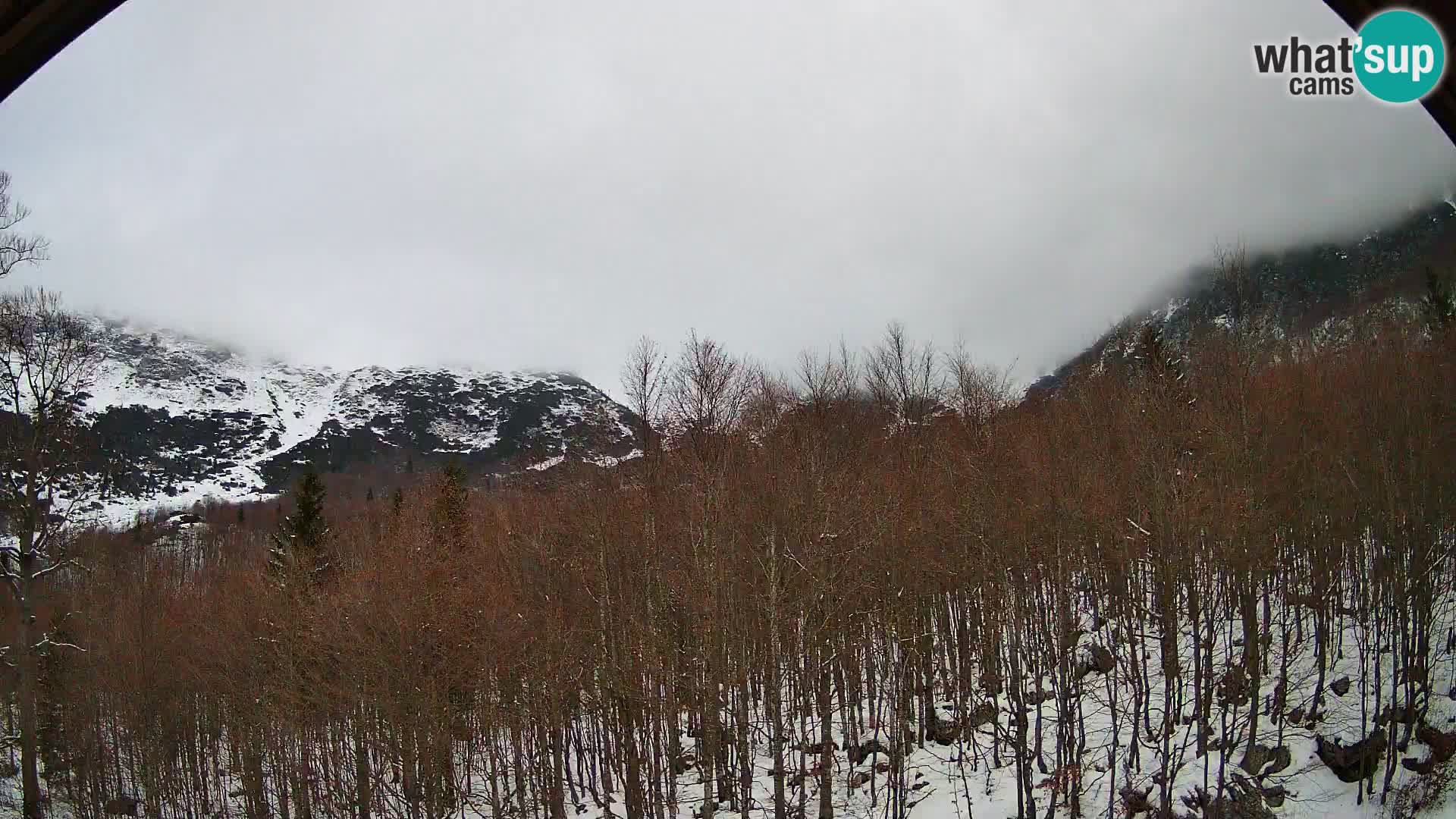 PLANINA RAZOR Live Cam (1315) | vista su Vogel e Globoko