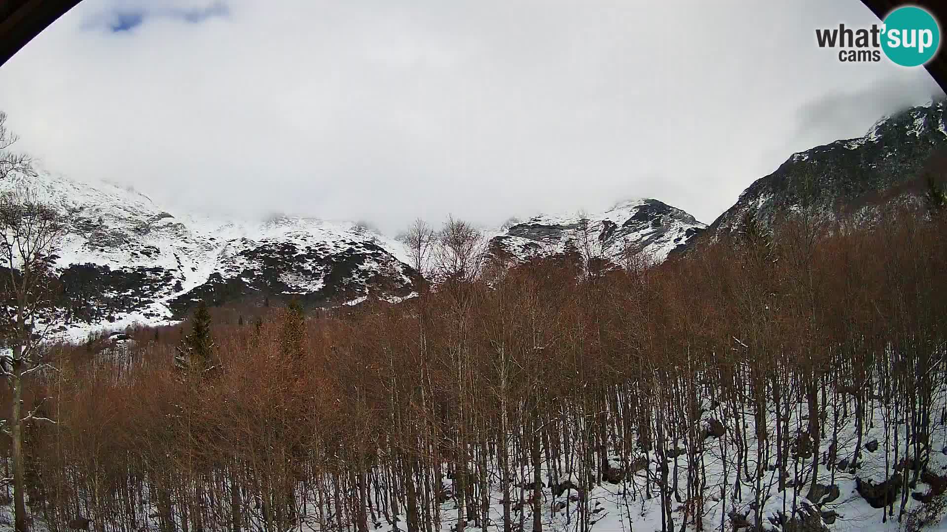 PLANINA RAZOR Live Cam (1315) | vista su Vogel e Globoko